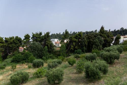 Studio with Sea View photo 3