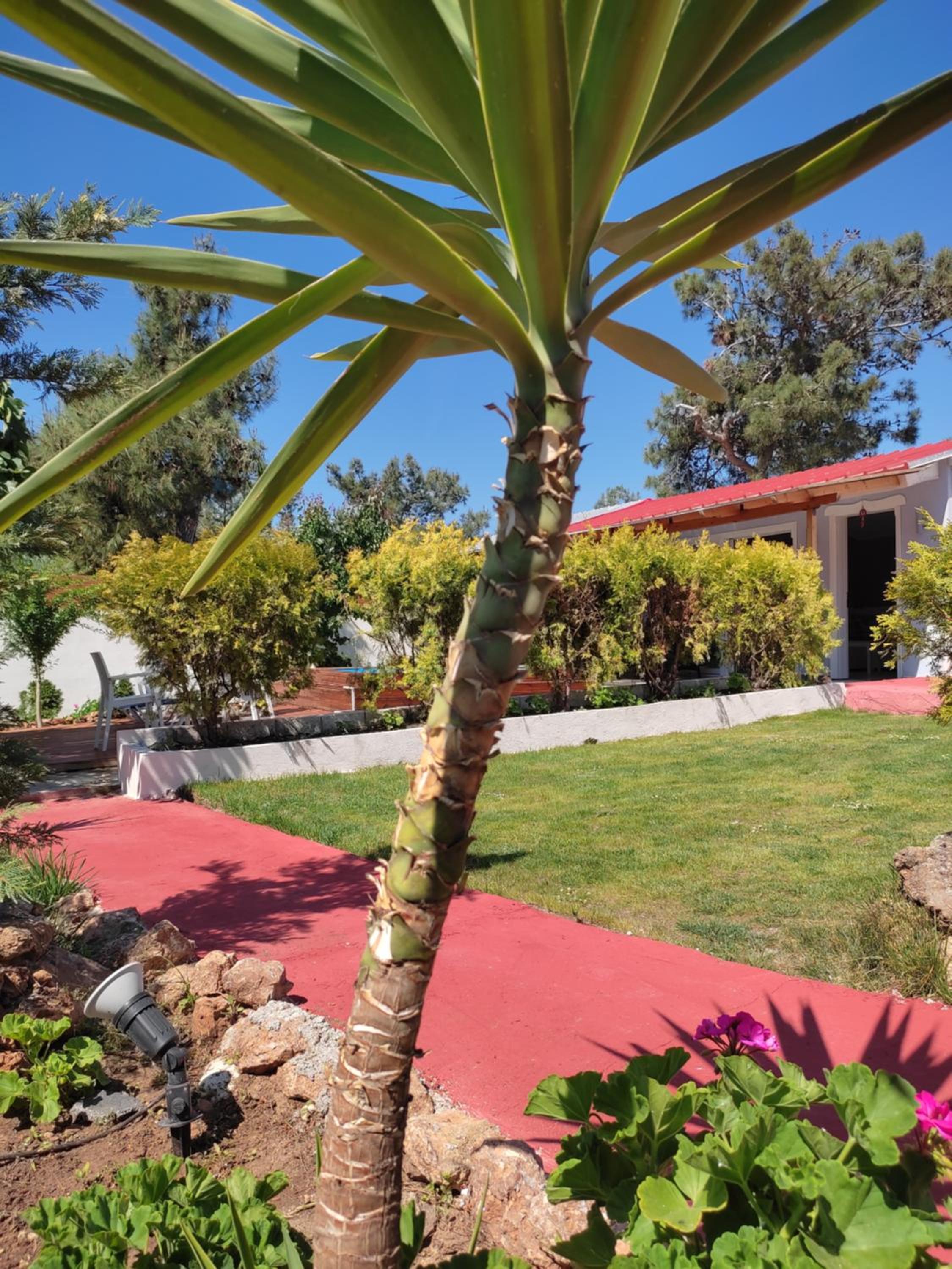 Villa with Private Pool photo 2