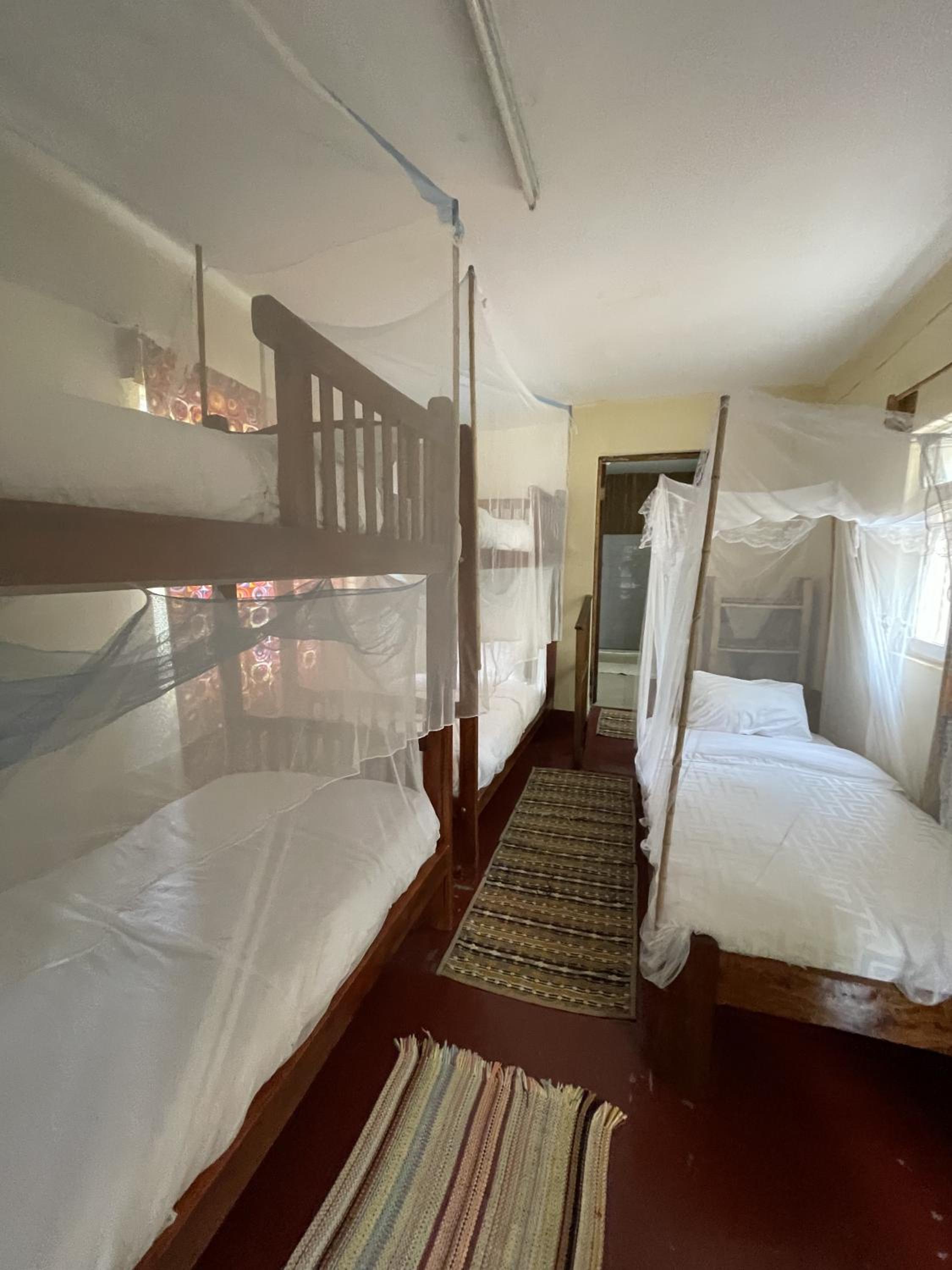 Single Bed in Mixed Dormitory Room photo 3