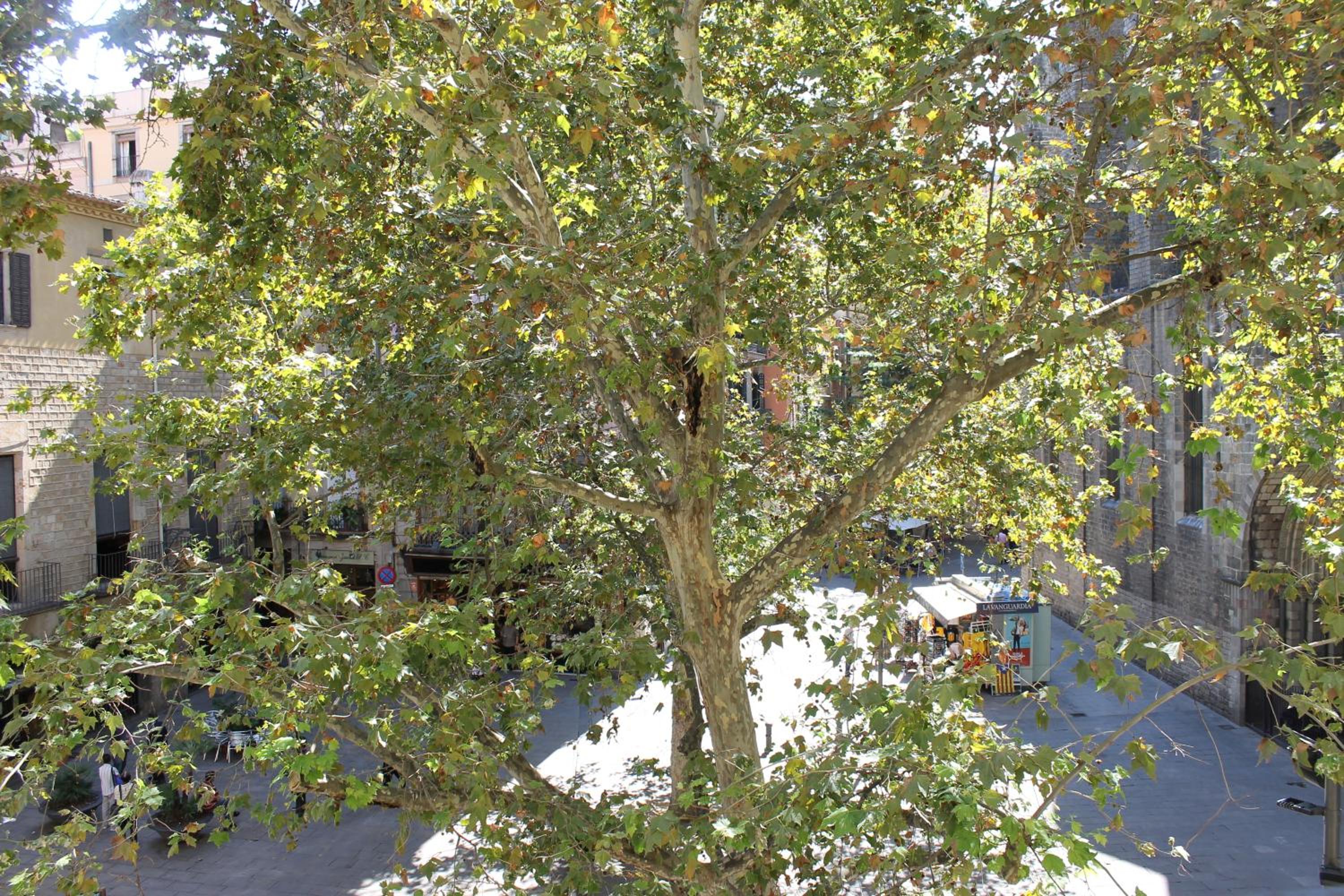 Double Room with Balcony photo 3