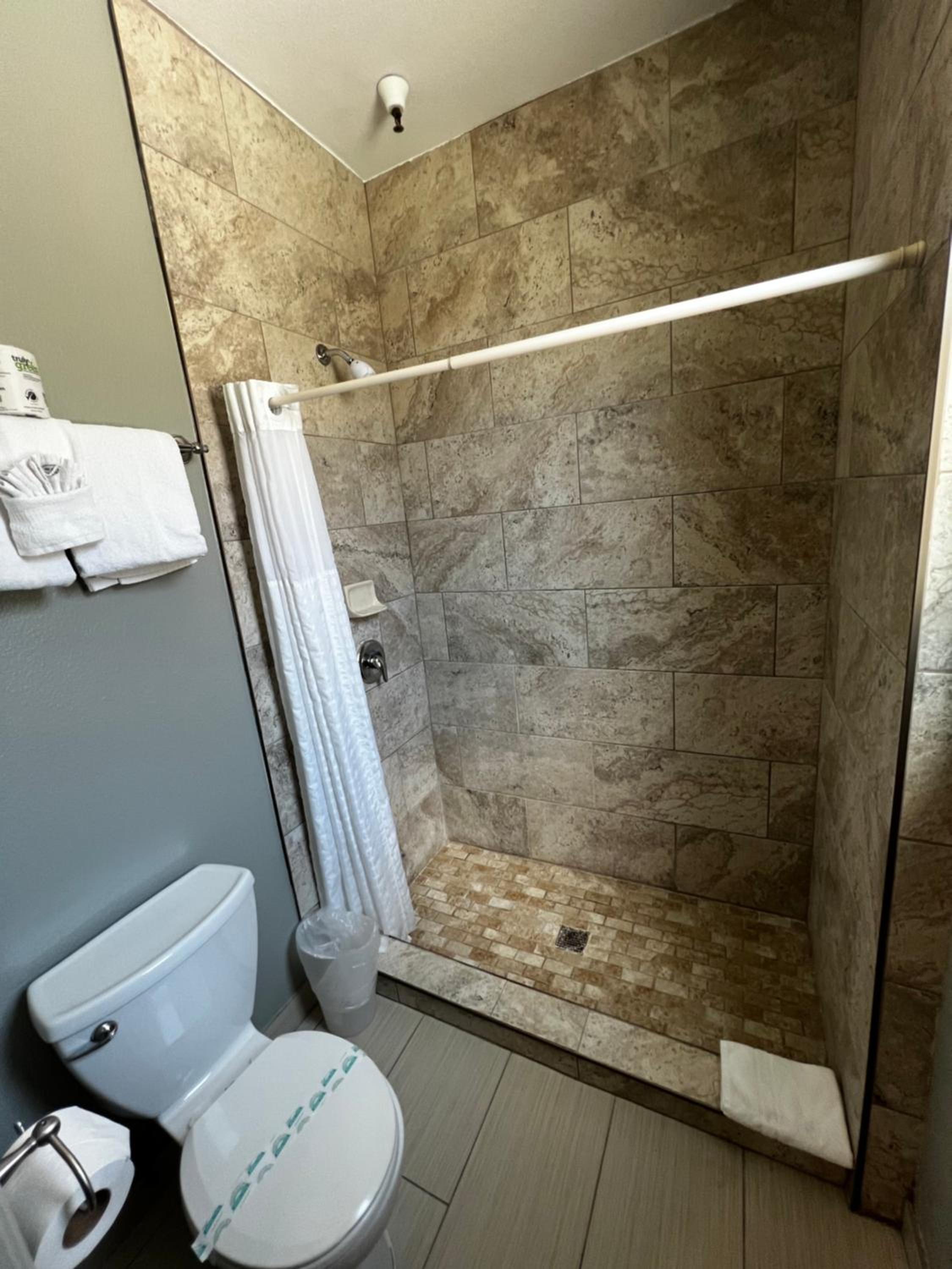 Pet friendly room, 1 king bed
