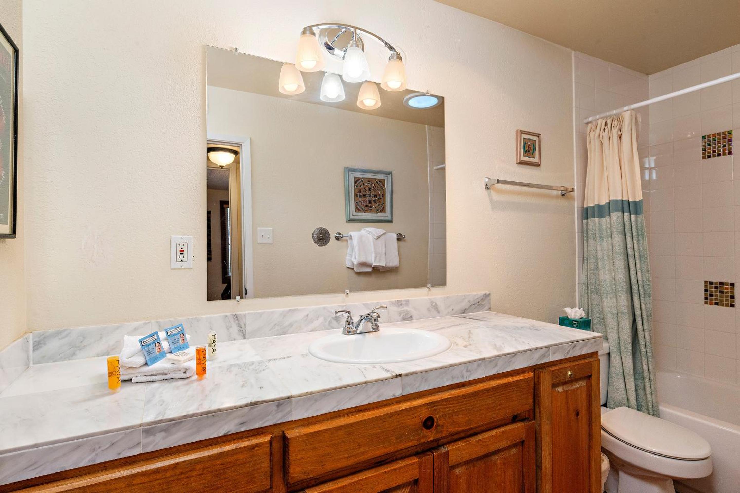 1 Bedroom Condominium  - Photo 2