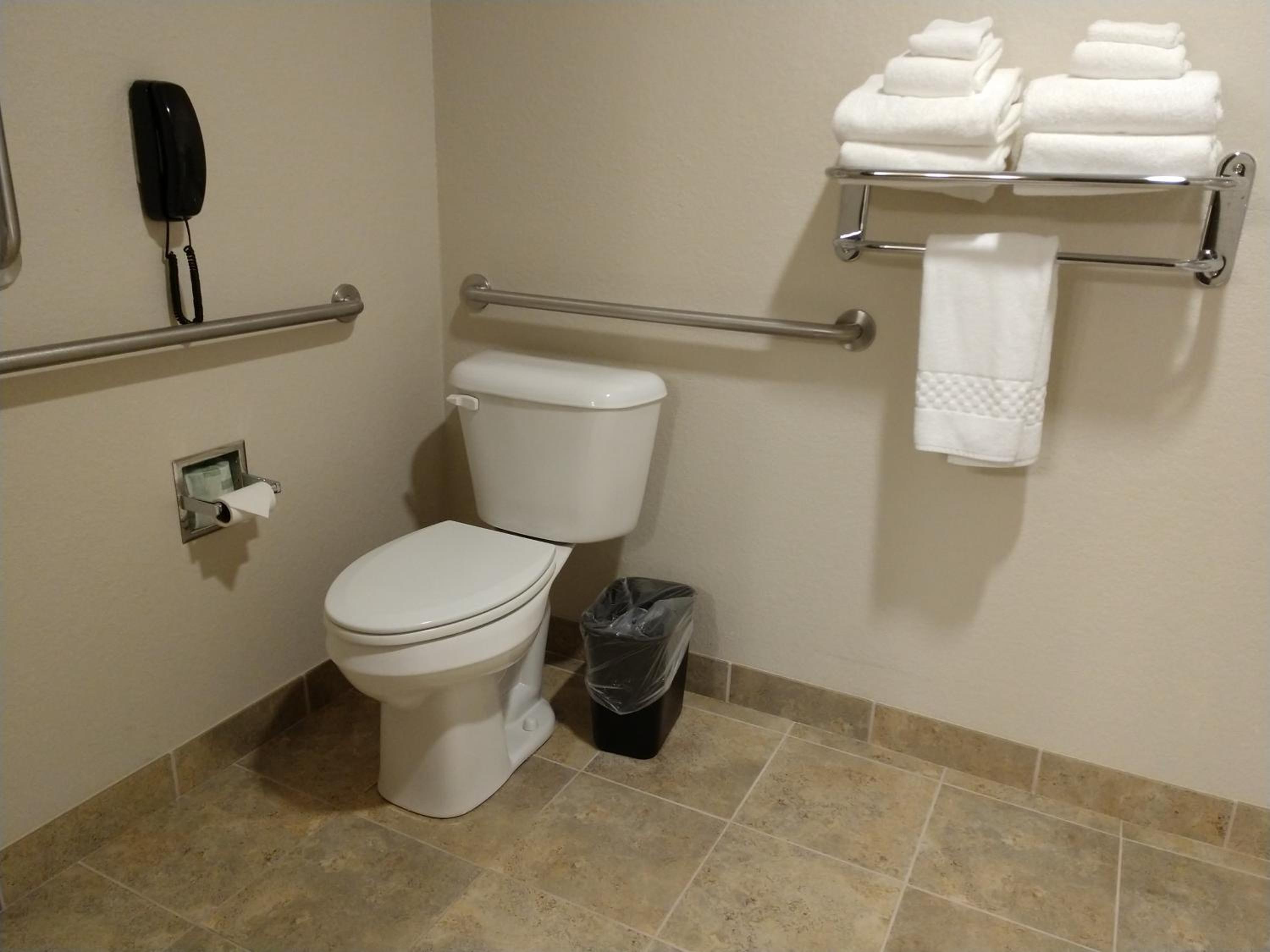 King Room with Roll-In Shower - Disability Access