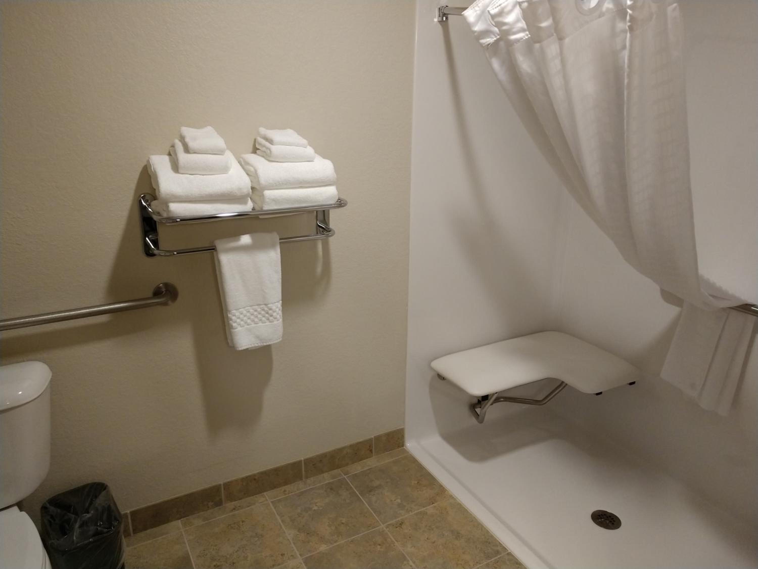 King Room with Roll-In Shower - Disability Access photo 3