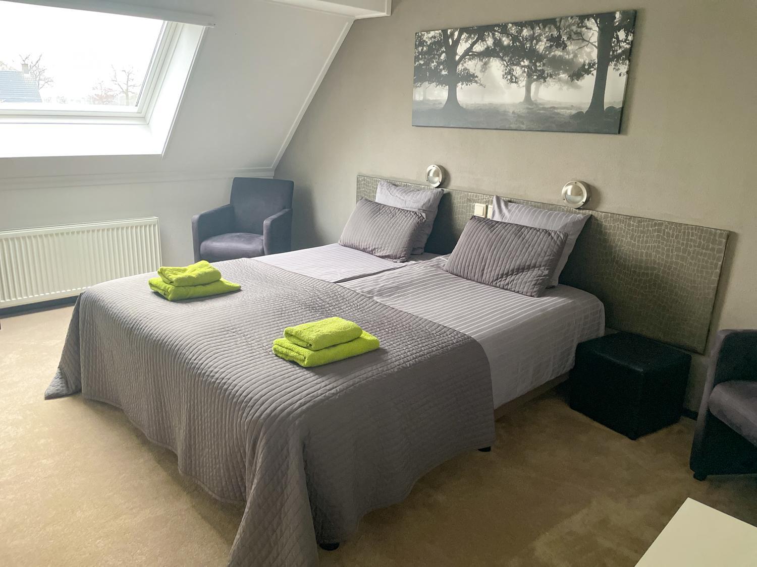 Large Double or Twin Room photo 1