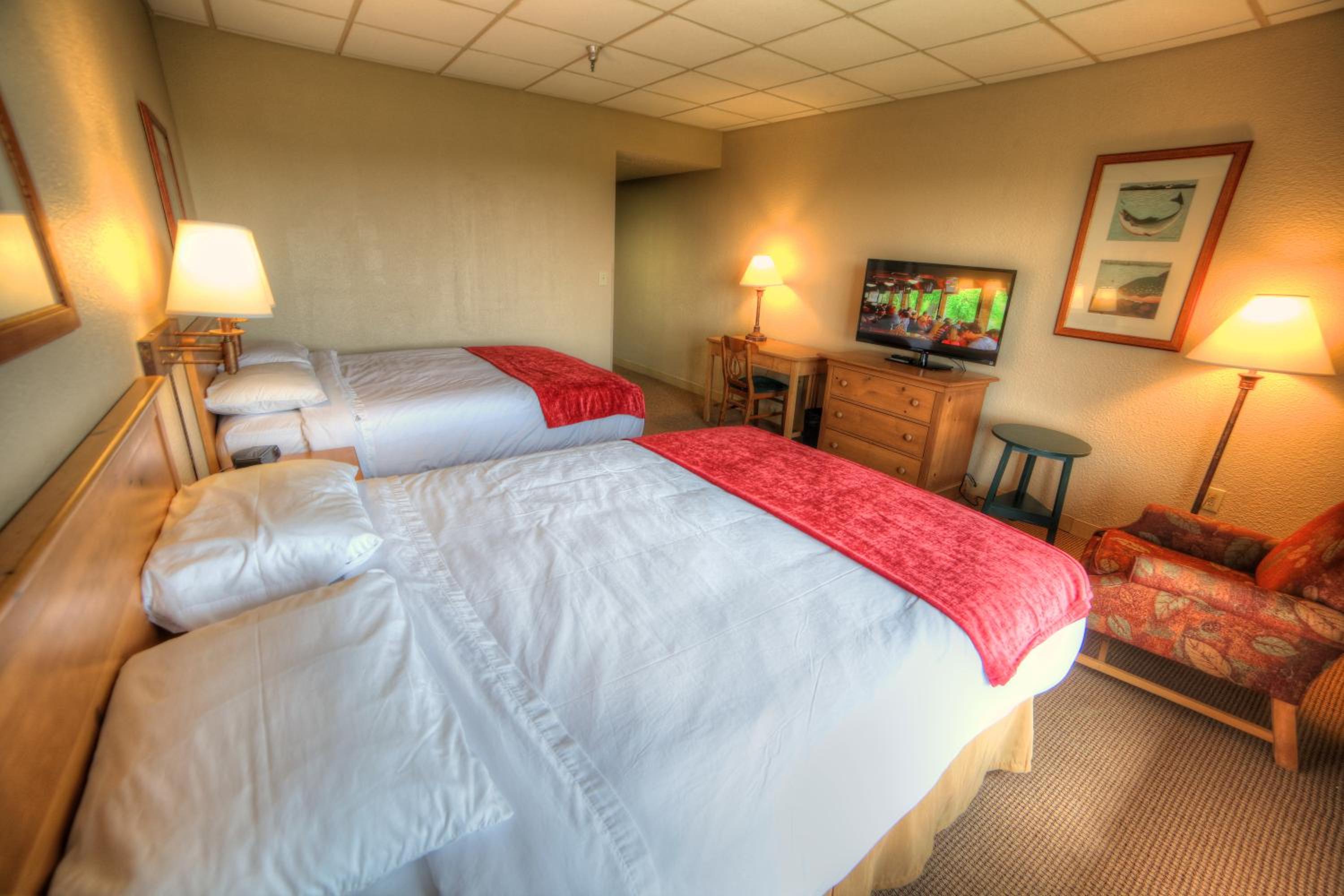 Standard Queen Room with Two Queen Beds photo 2