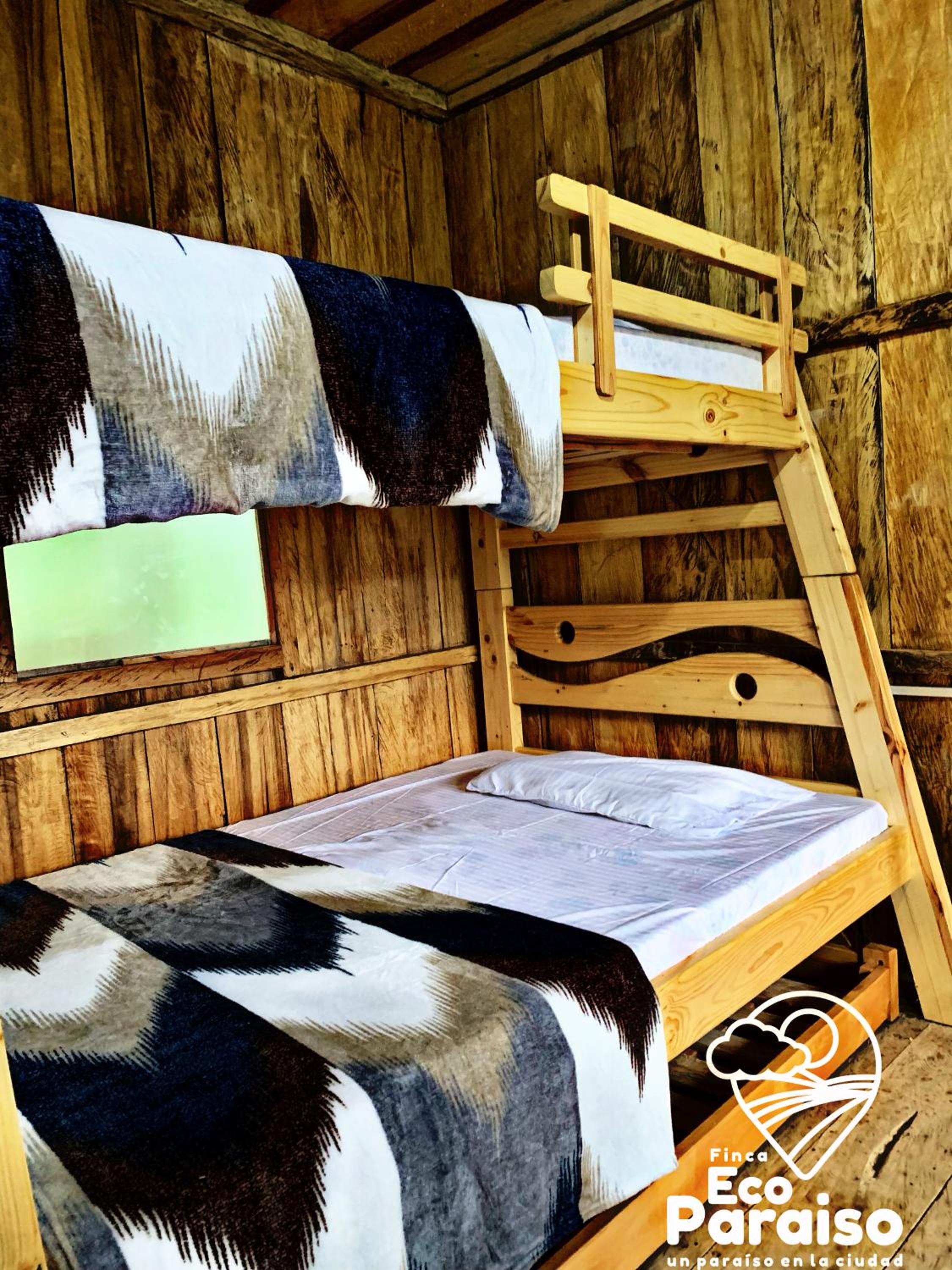 Single Bed in Mixed Dormitory Room photo 1