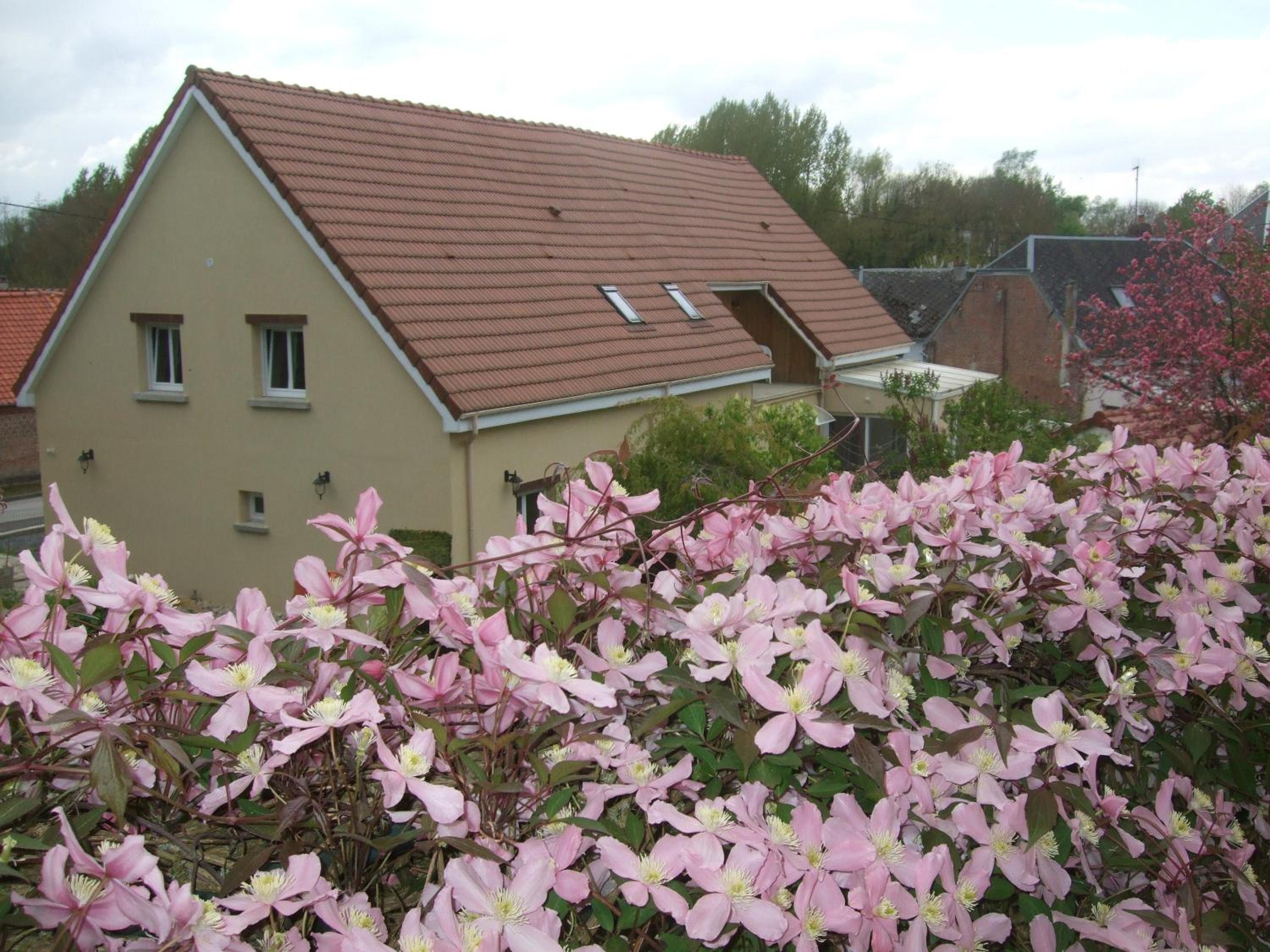 Suite with Garden View photo 3