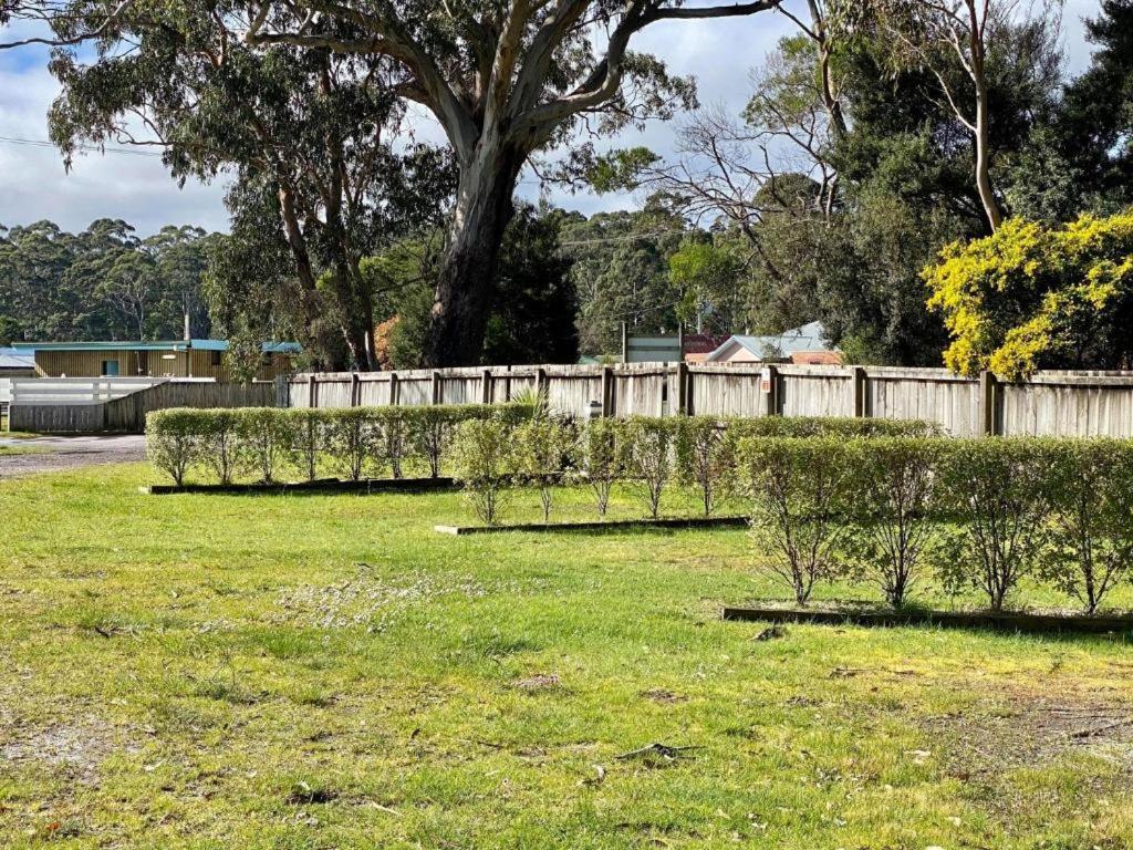 Large Grass Powered Site - No Bed Provided
