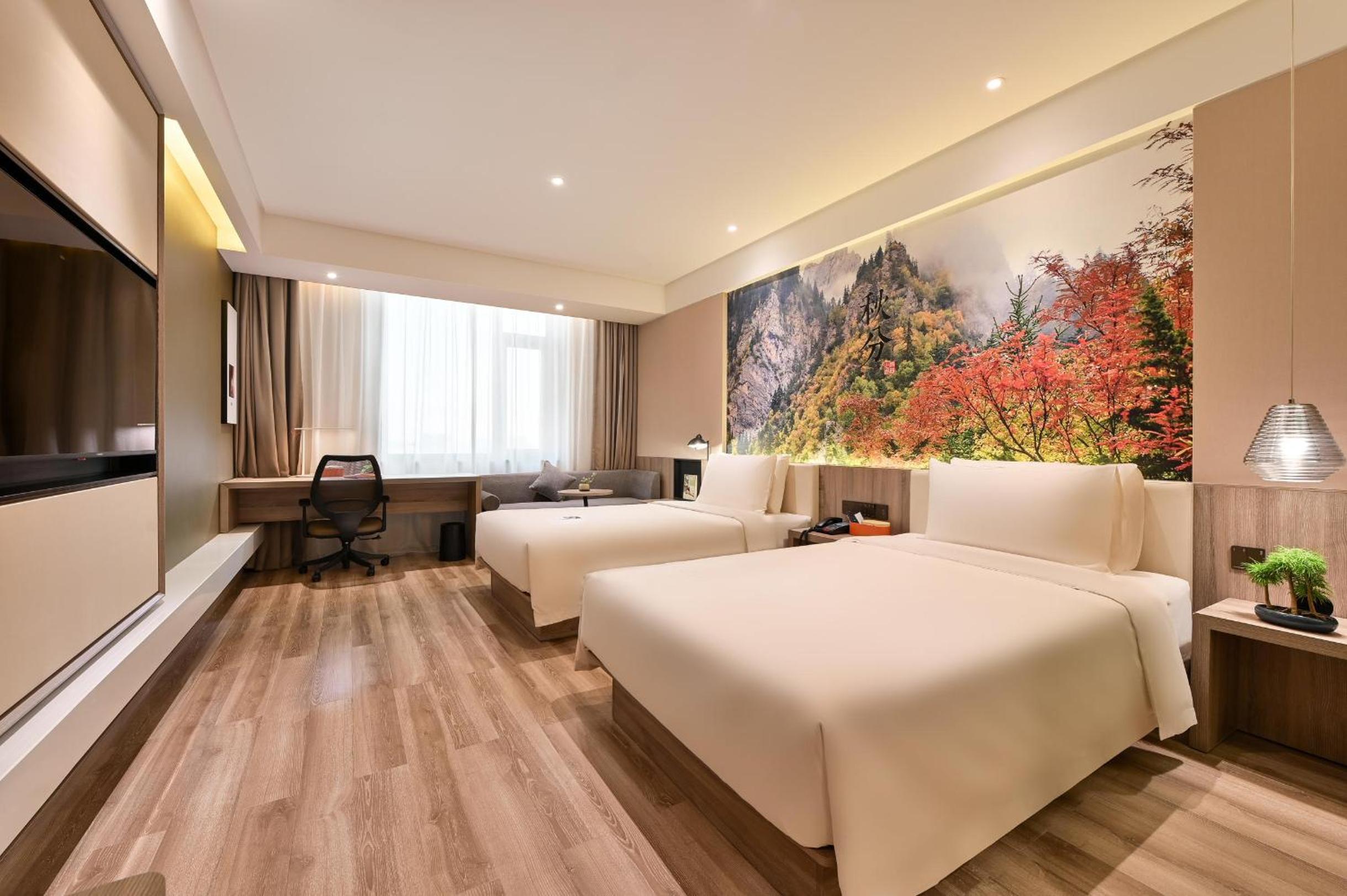 Superior Twin Room  photo 1