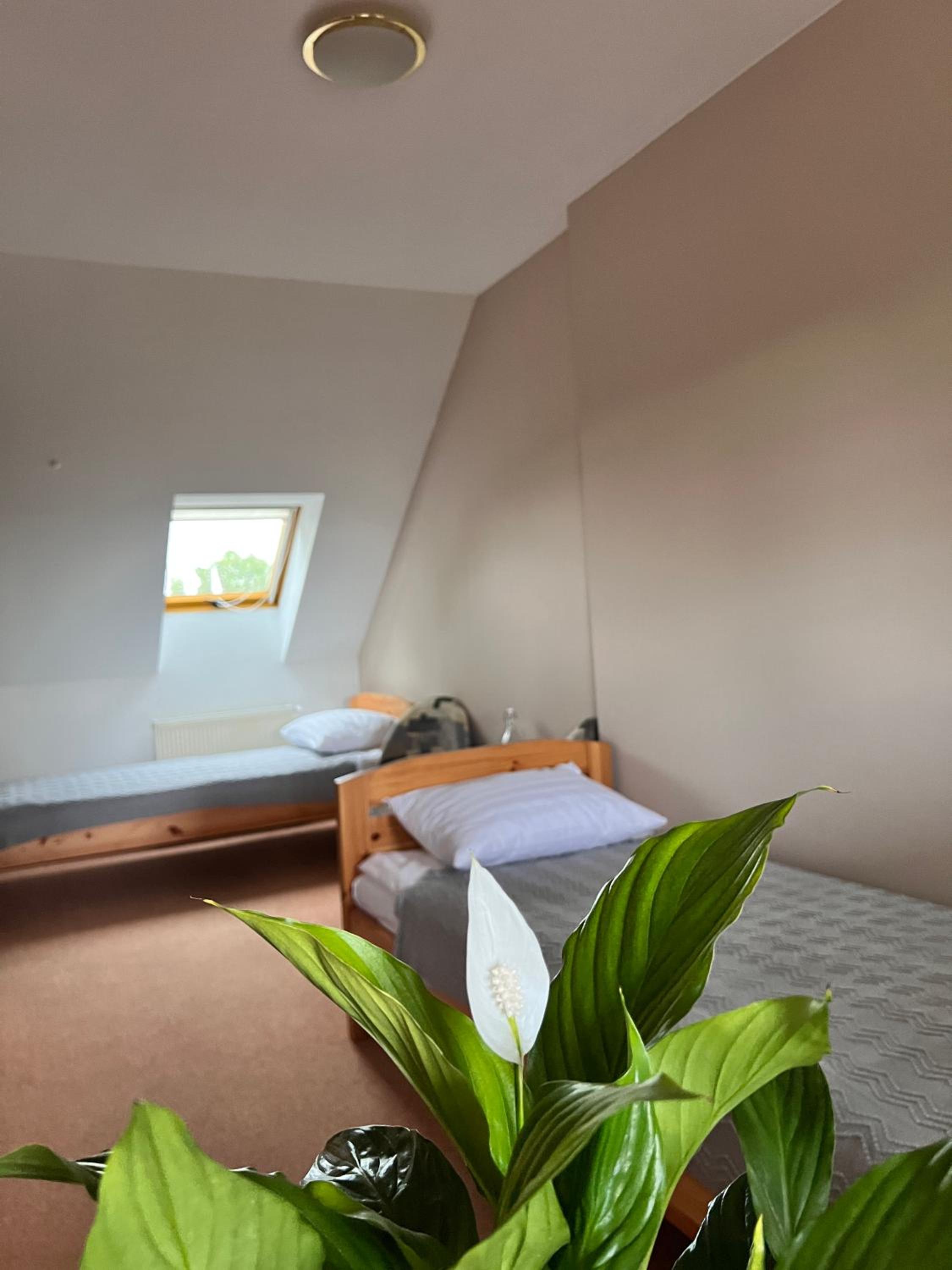 Standard Twin Room photo 2