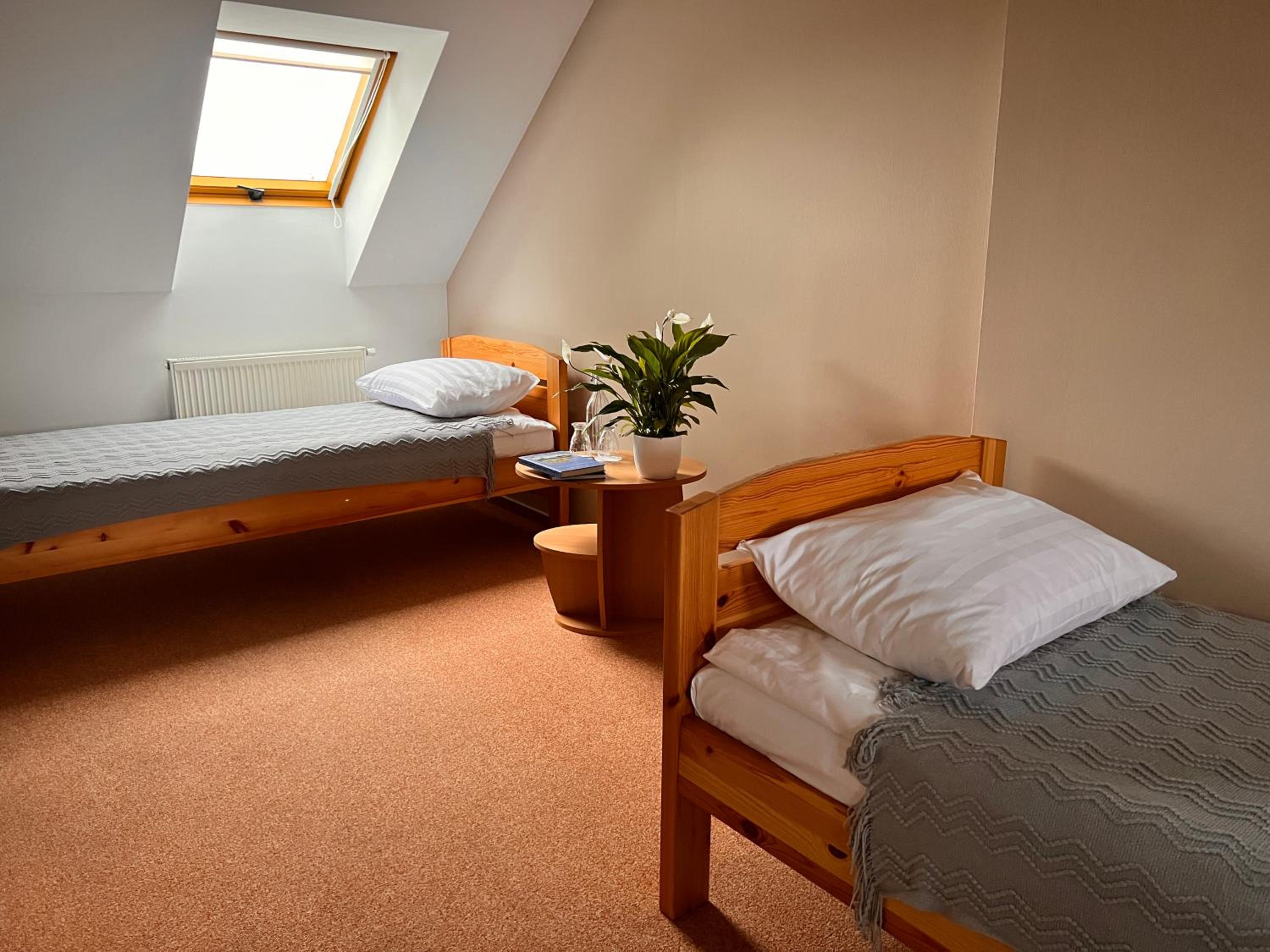 Standard Twin Room photo 1
