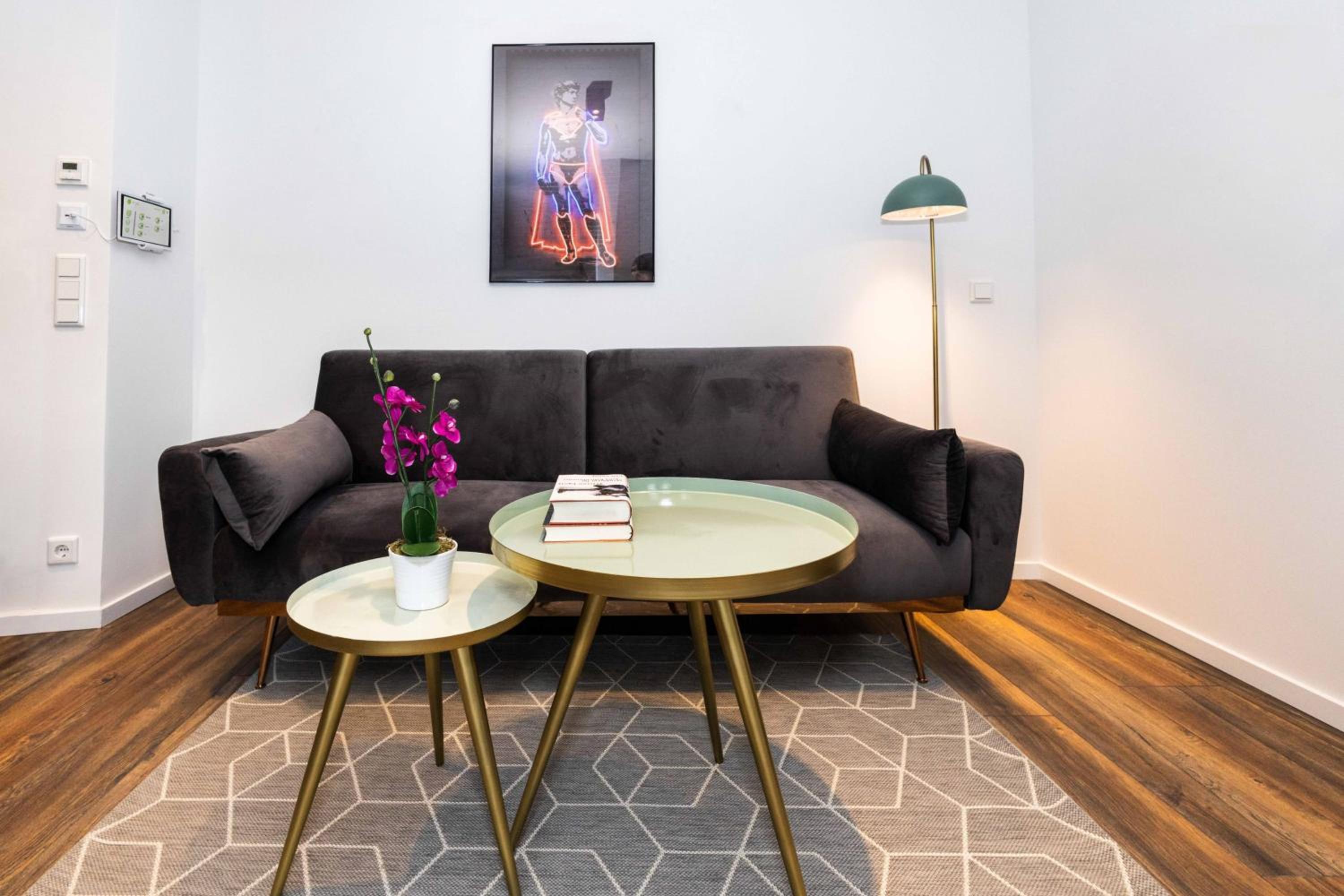 Comfort Suite Apartment - Photo 9