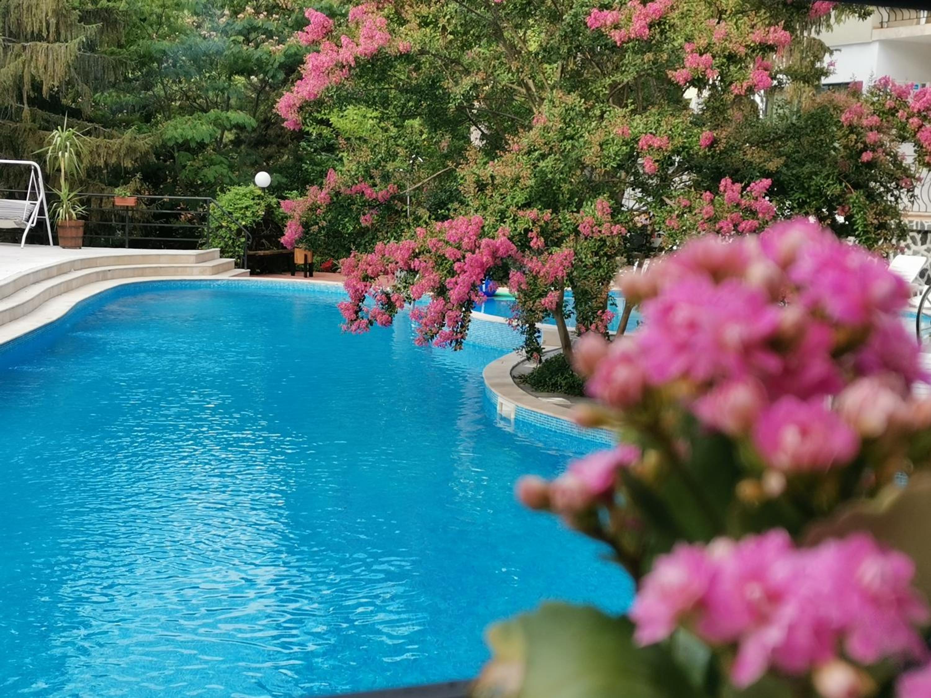 Twin Room with Balcony with Pool View photo 3
