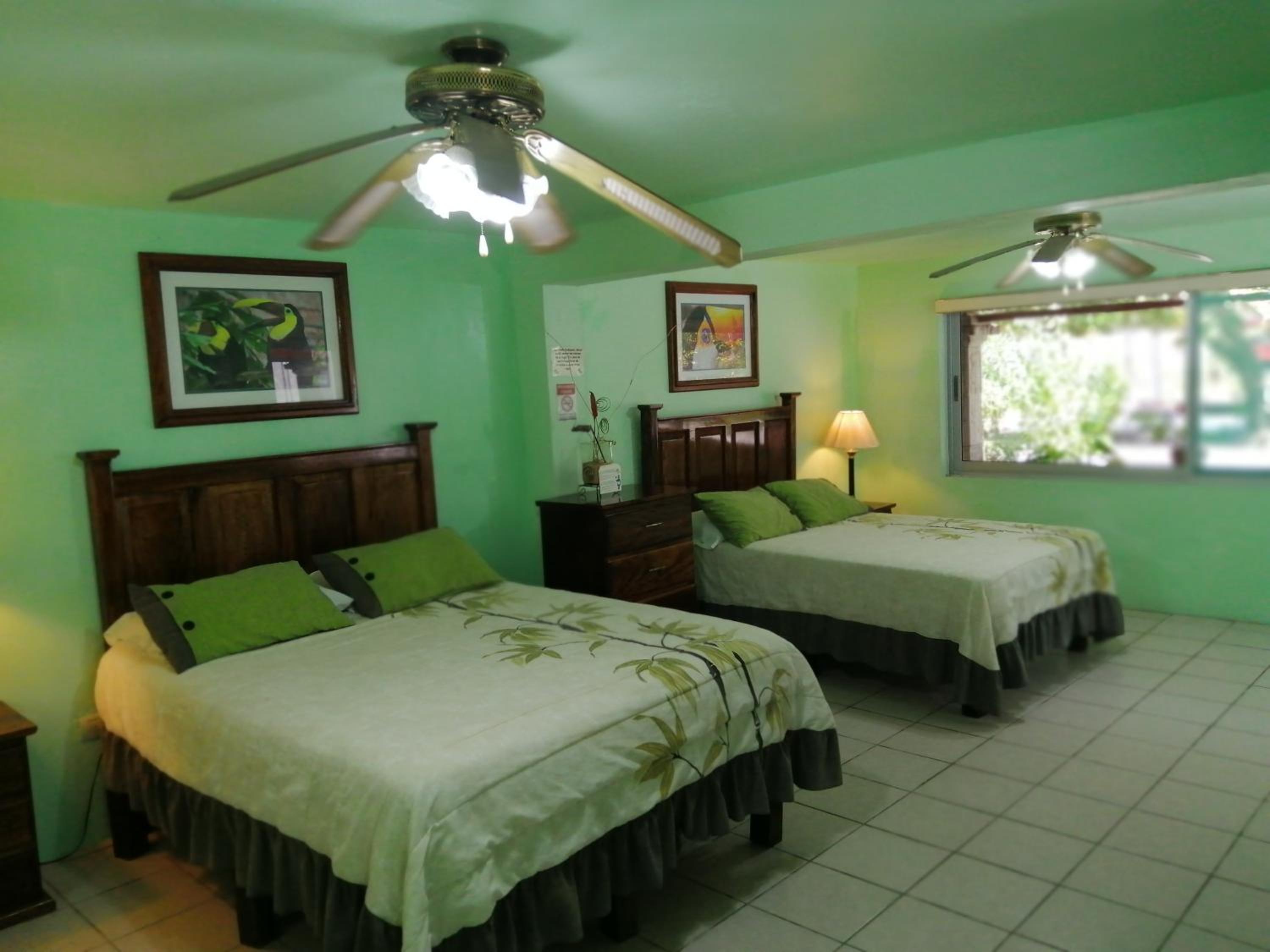 Double Room with Garden View photo 2