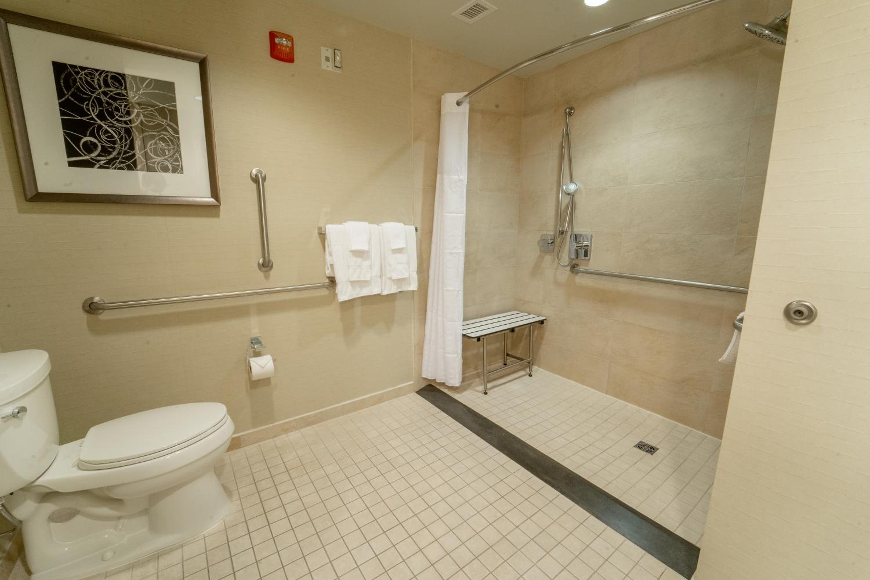 Standard Queen Accessible Room  photo 3