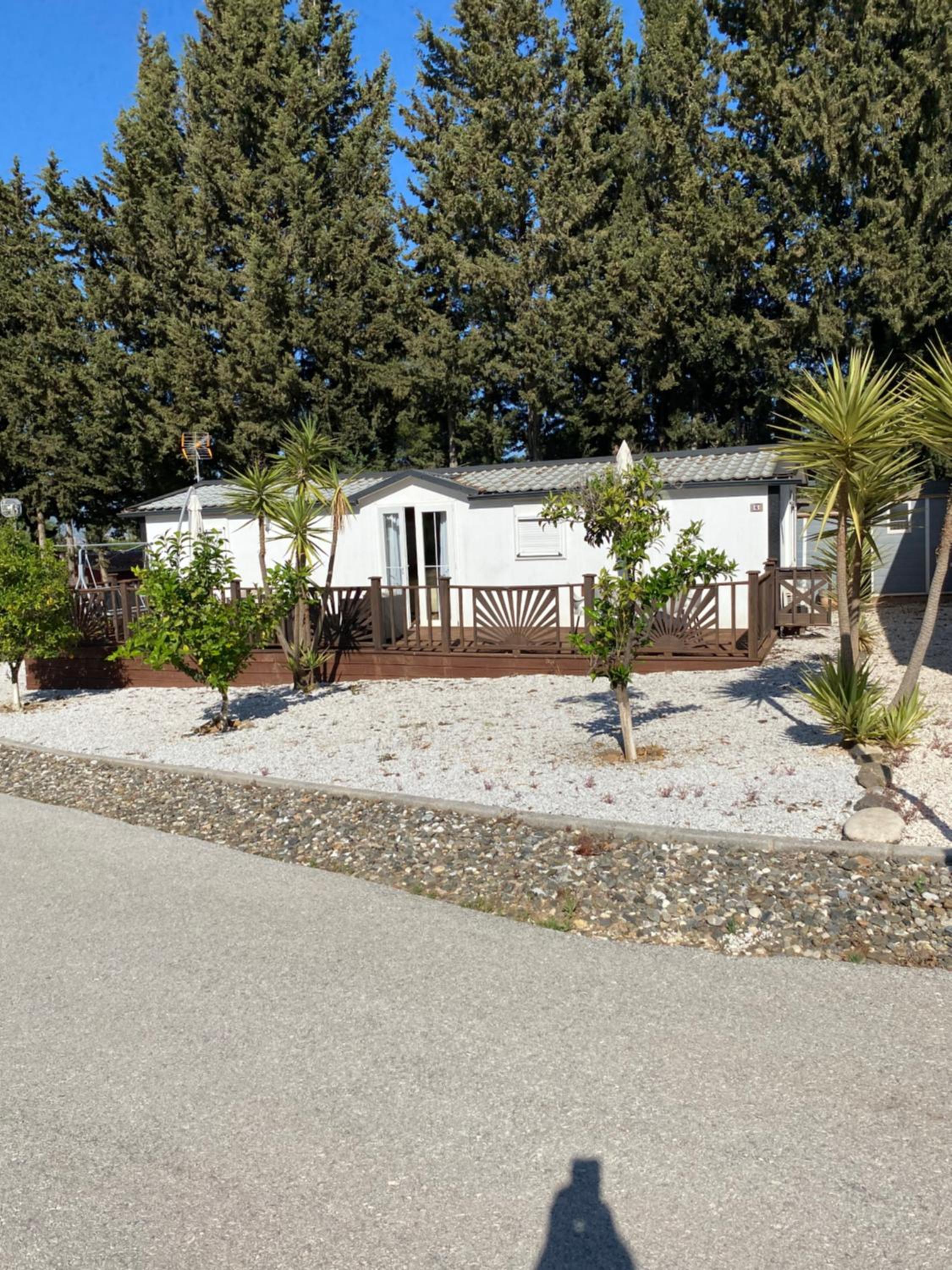 Mobile Home photo 2
