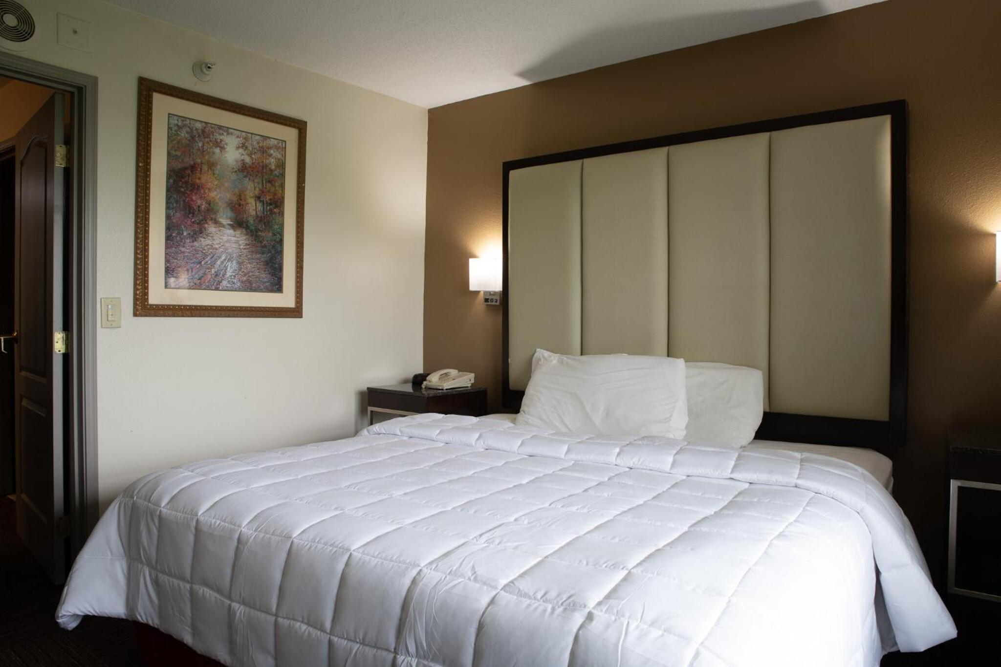 King Suite - Photo 3