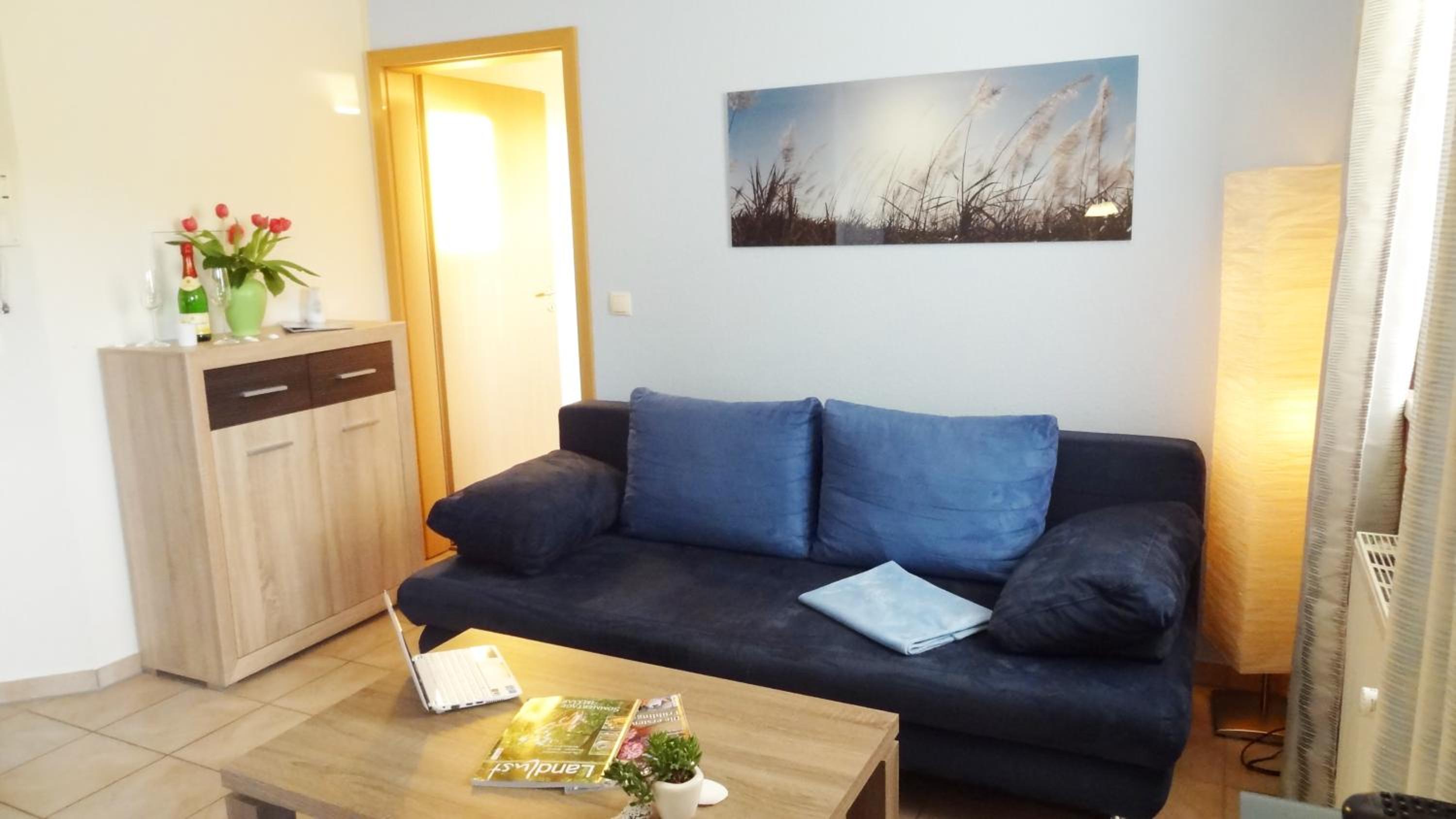 One-Bedroom Apartment photo 3