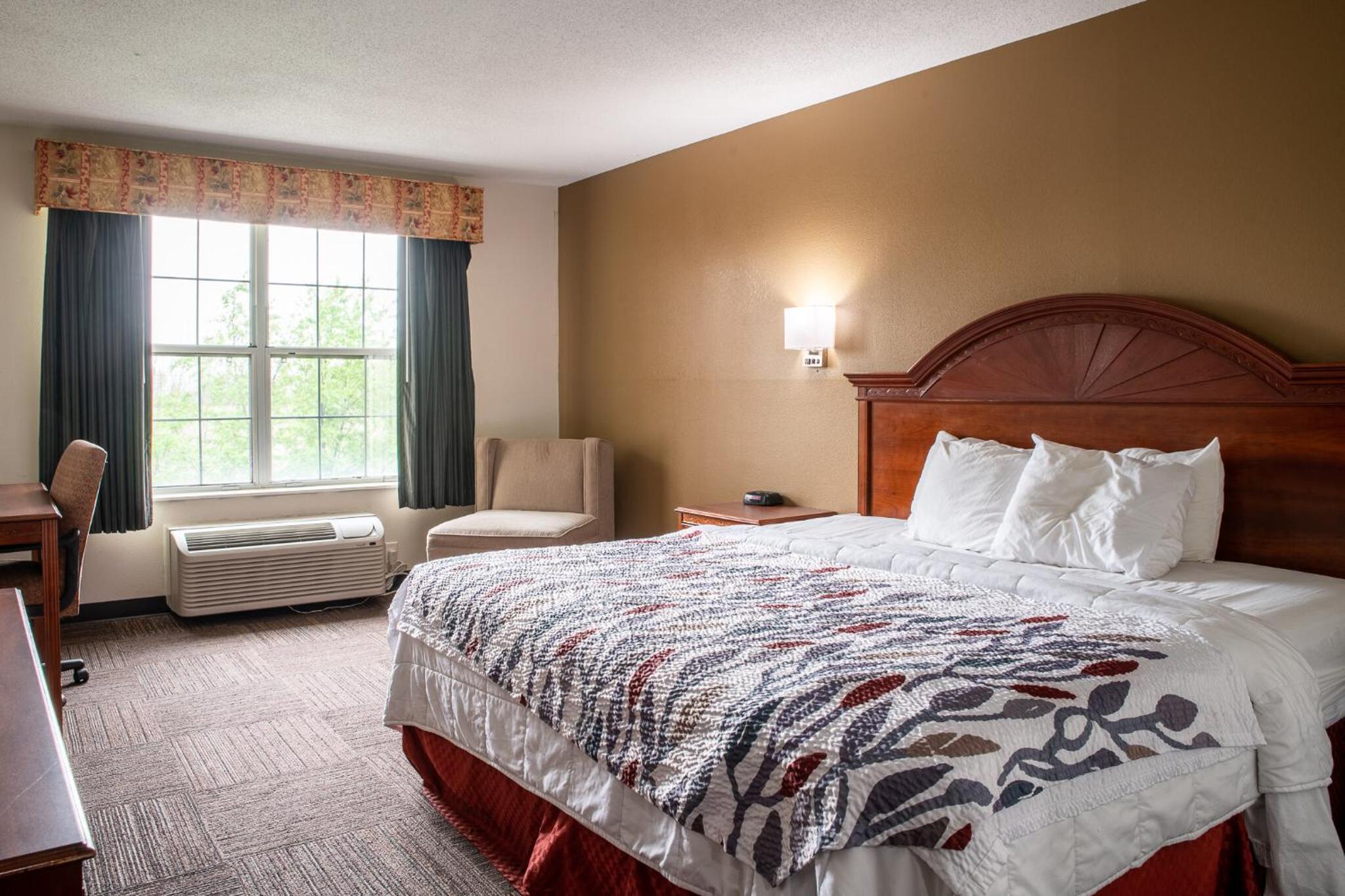 King Room - Photo 1