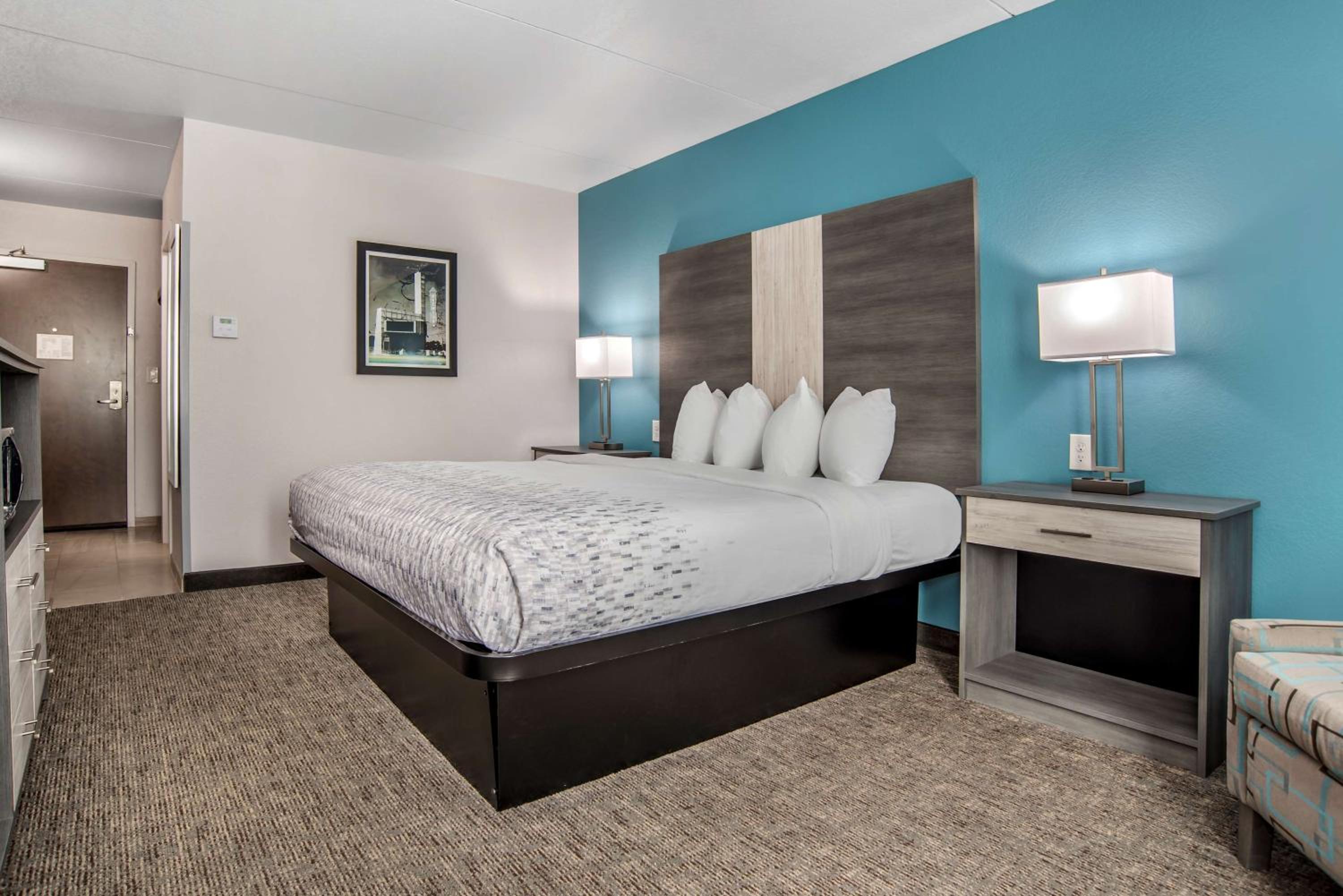 King Room - Pet Friendly/Non-Smoking - Photo 1