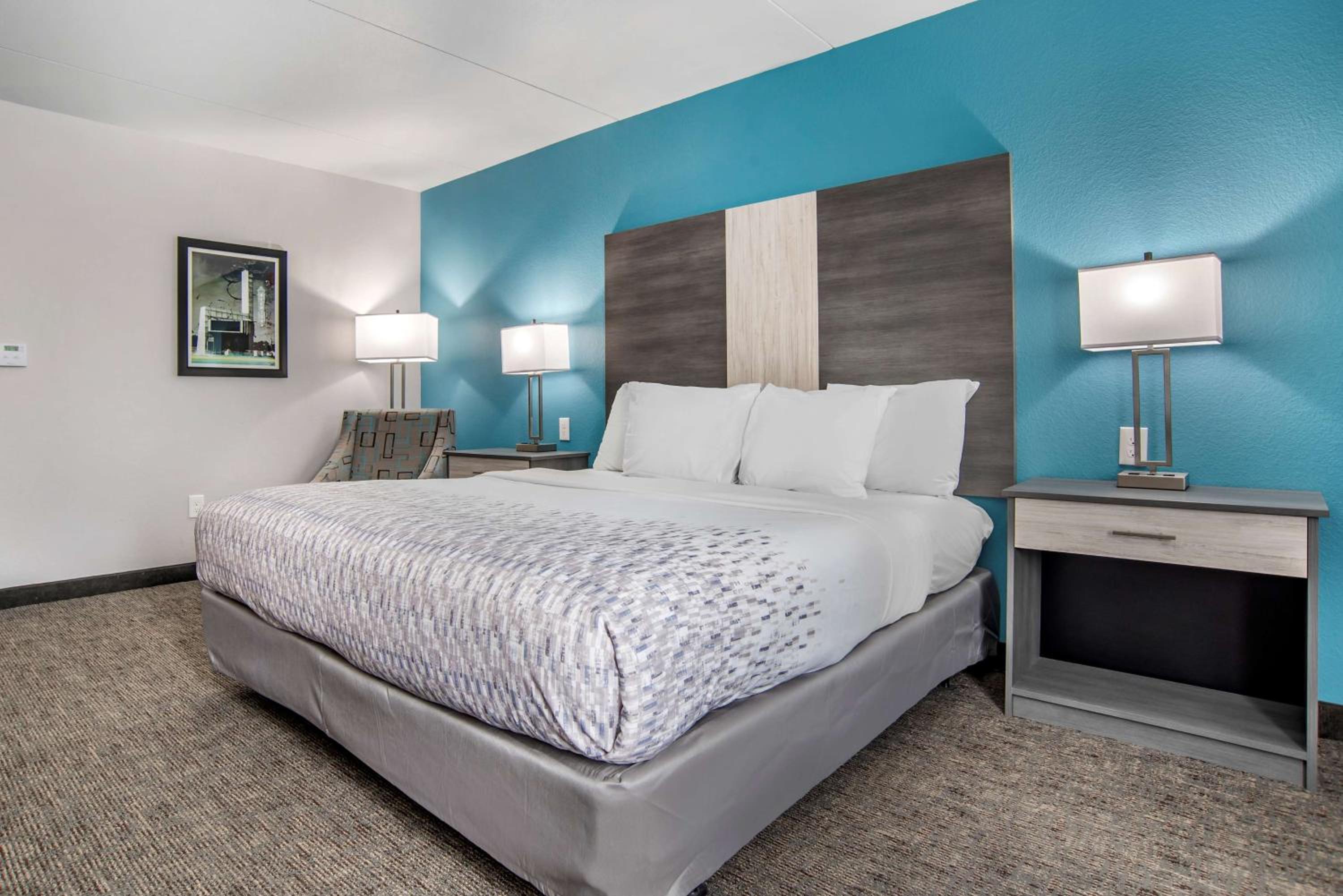 King Room with Roll-In Shower - Mobility Accessible/Pet Friendly - Photo 2