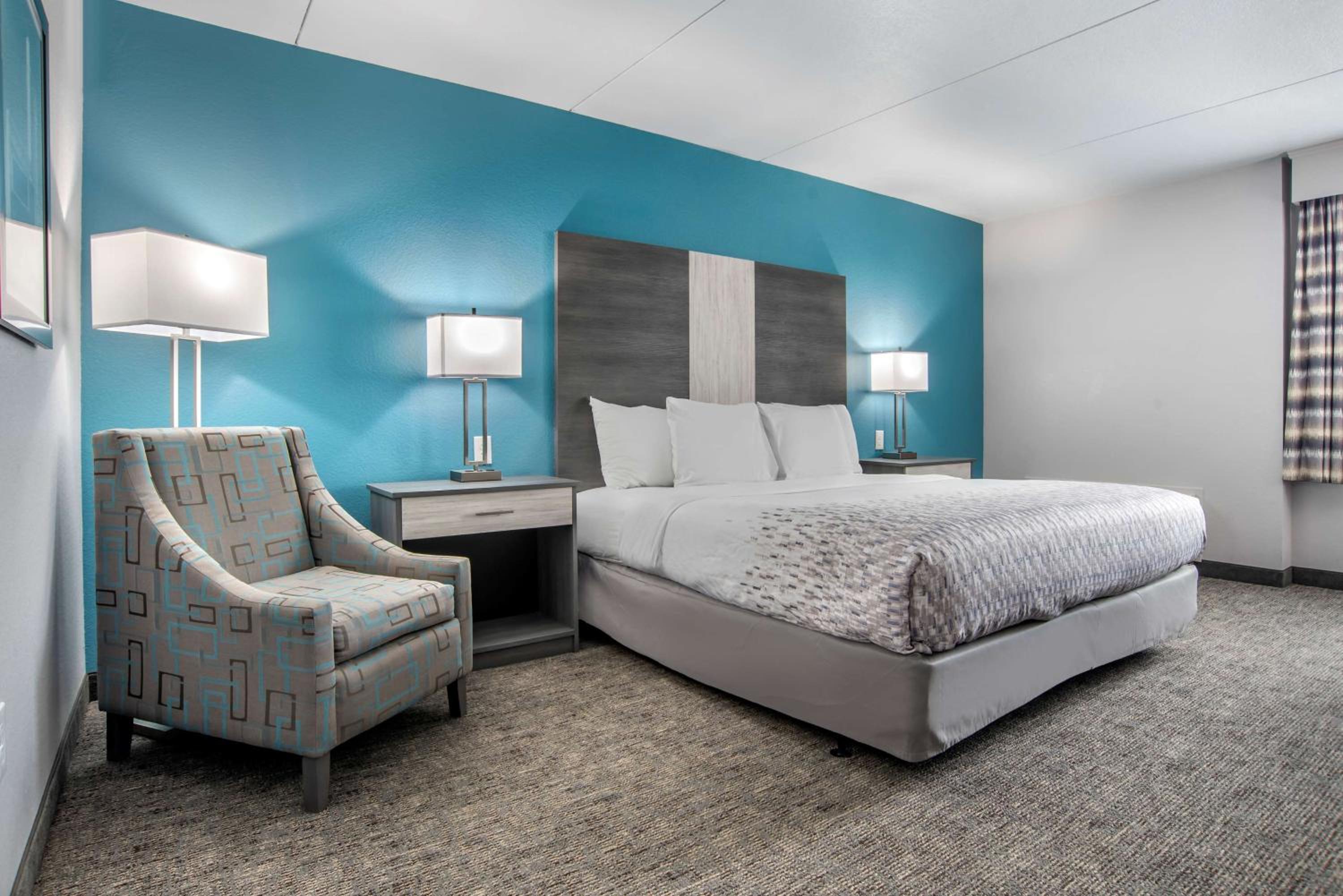 King Room with Roll-In Shower - Mobility Accessible/Pet Friendly - Photo 3
