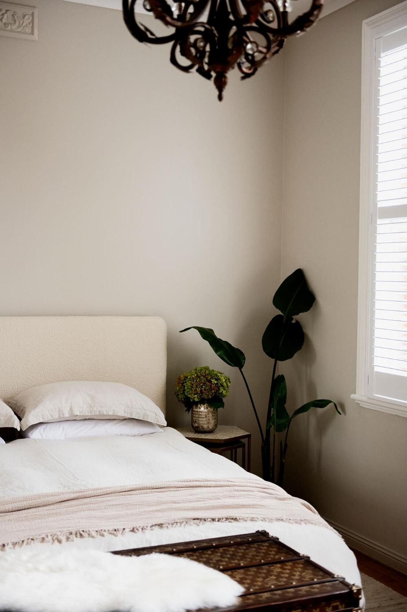 Deluxe Queen Room photo 1