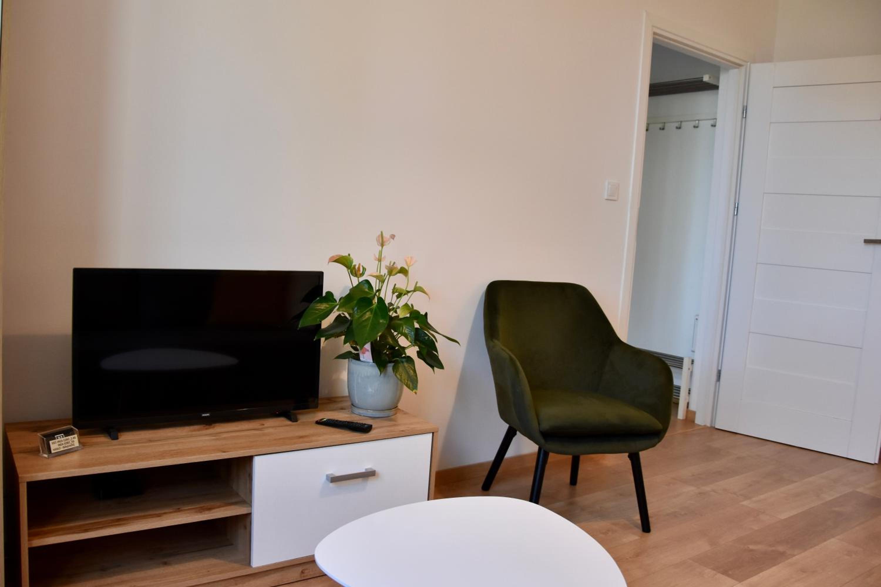 One-Bedroom Apartment - Photo 4