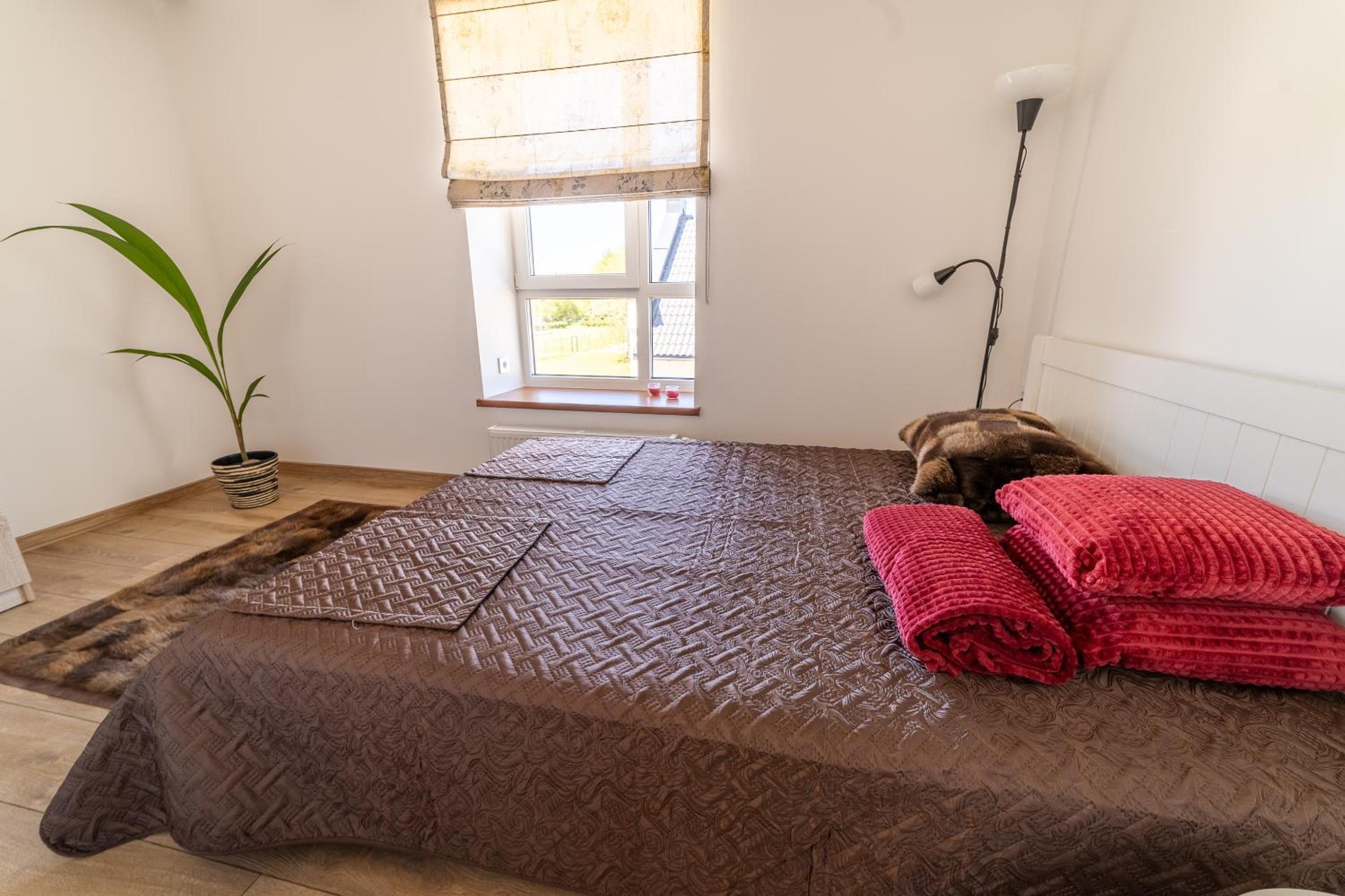 One-Bedroom Apartment photo 2