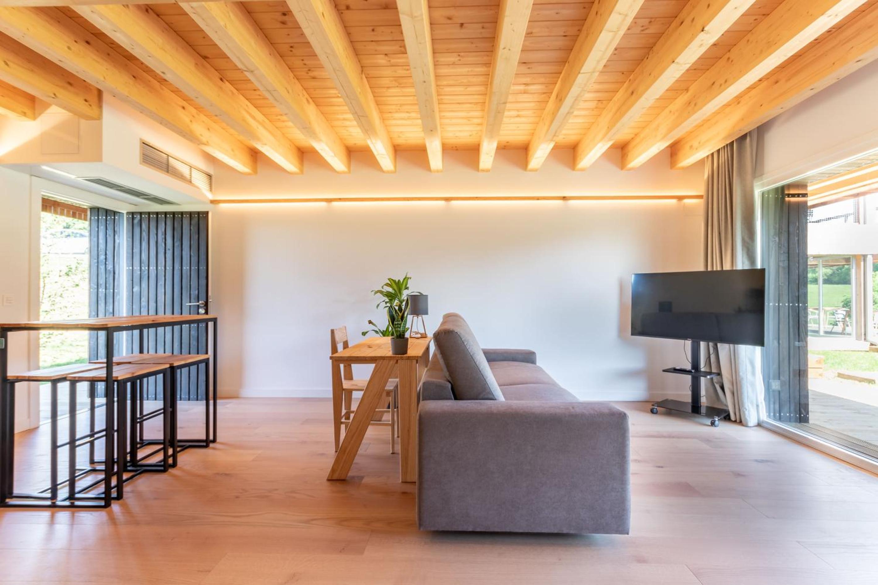 Apartment with Terrace - Photo 1