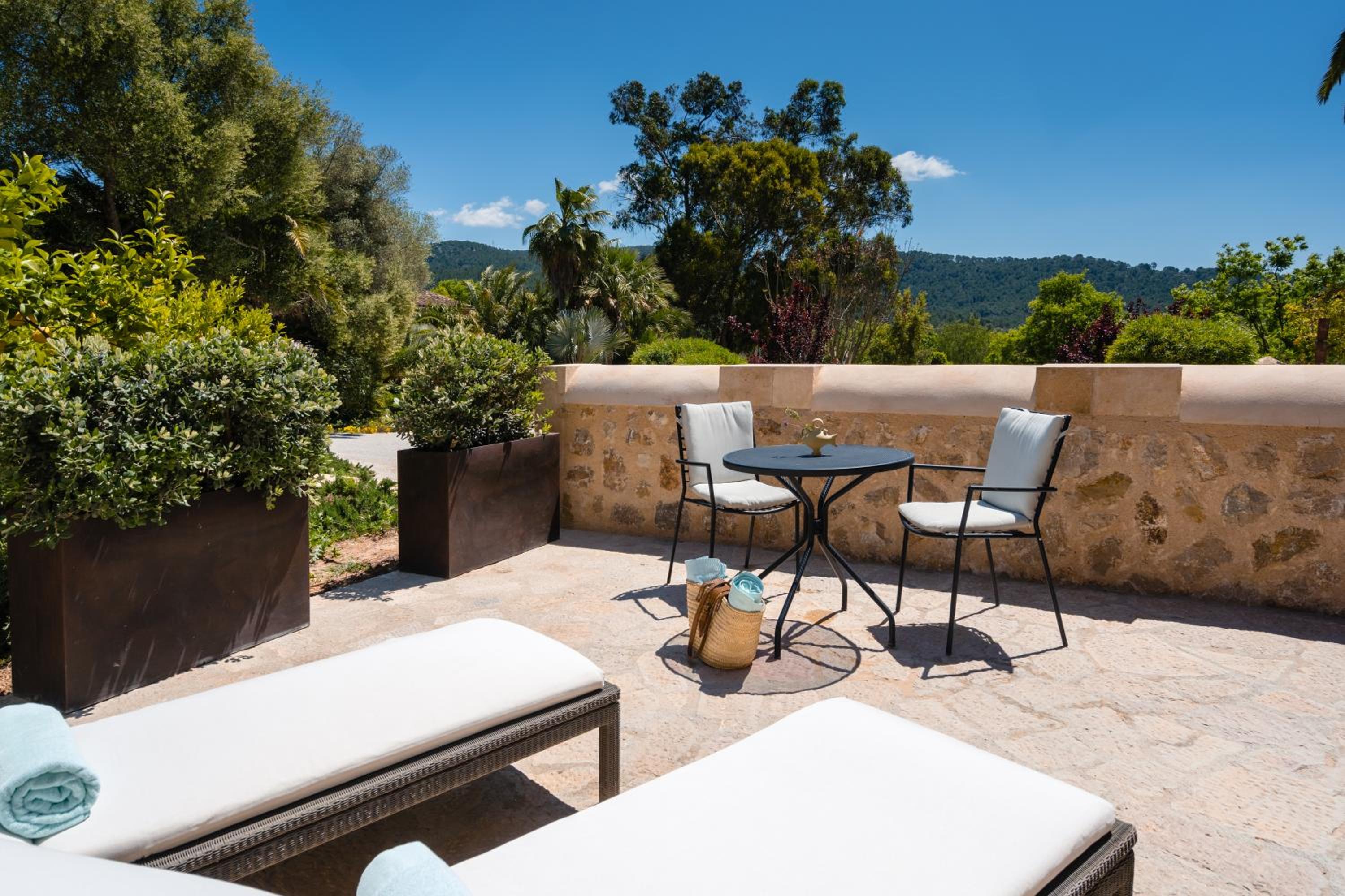 Suite Deluxe