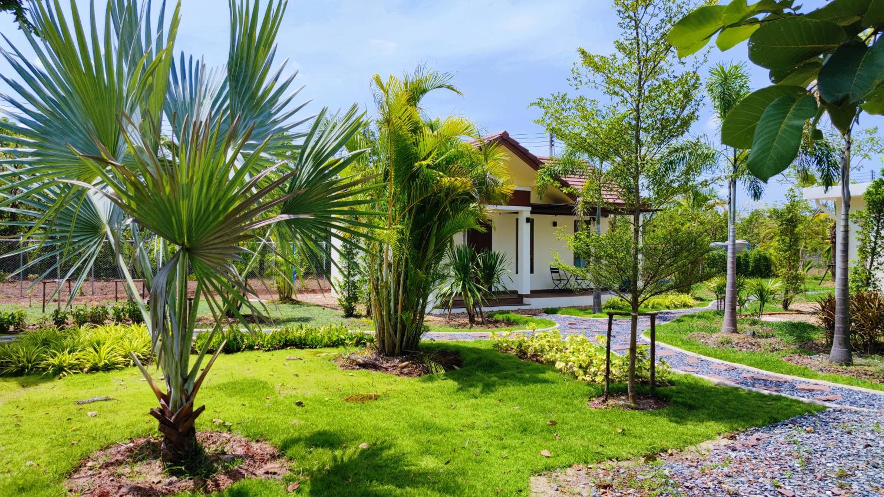 Deluxe Bungalow photo 3