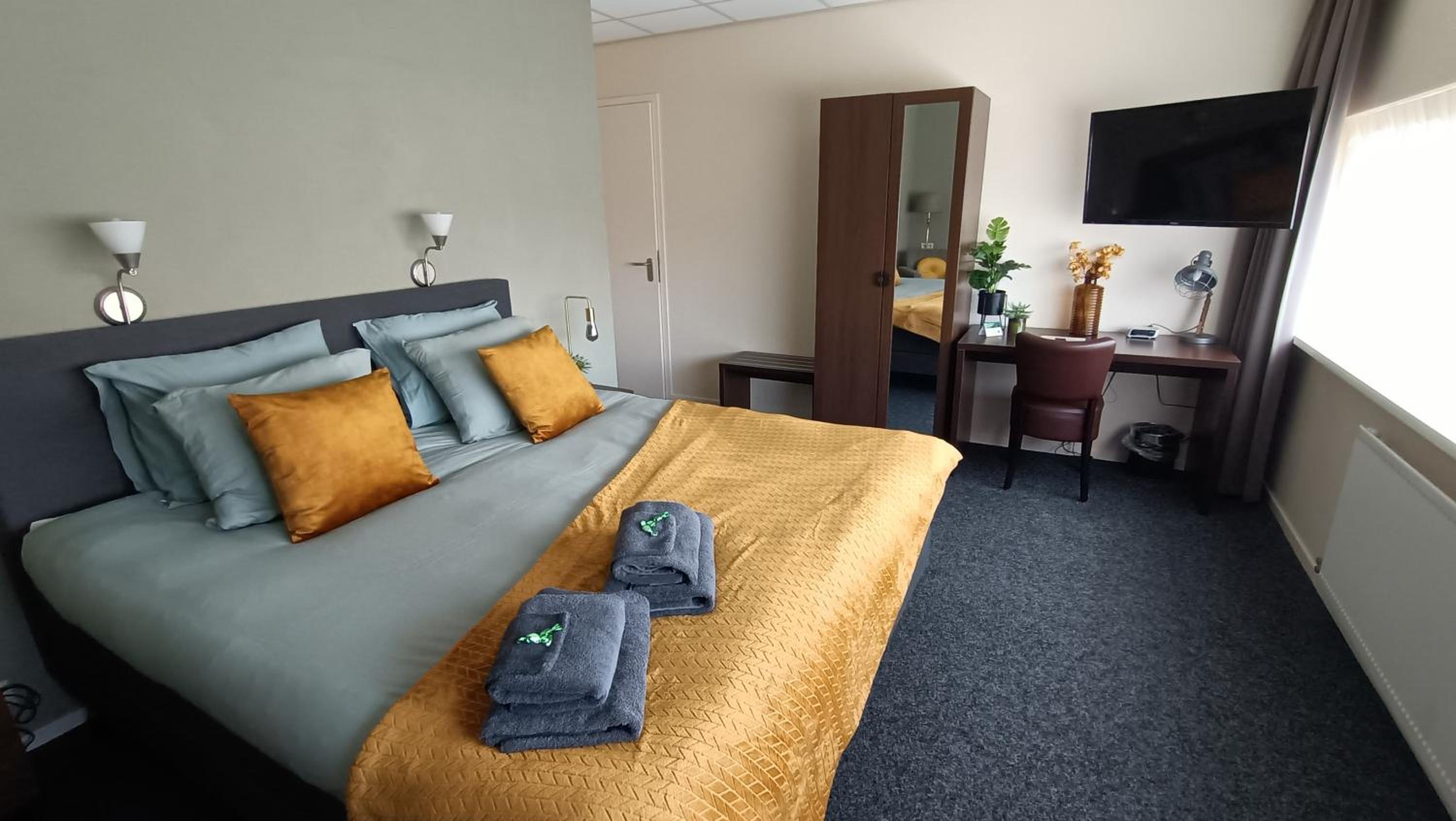 Deluxe Double or Twin Room photo 3