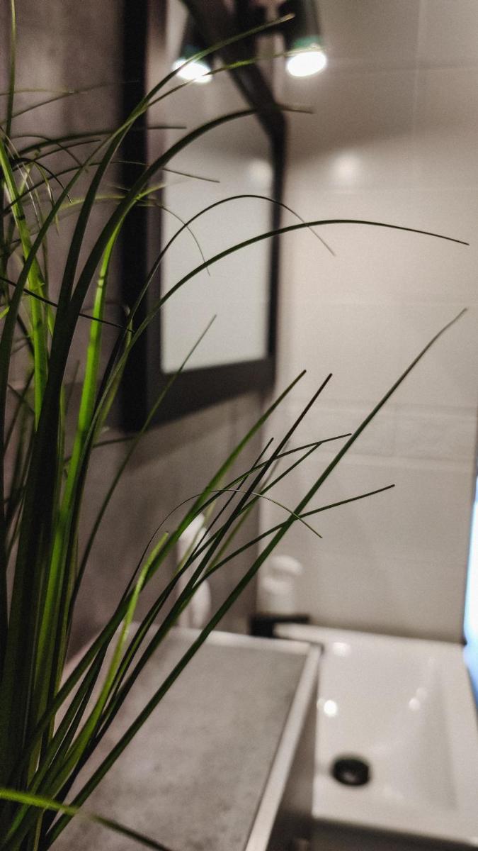 Triple Room with Private Bathroom photo 1