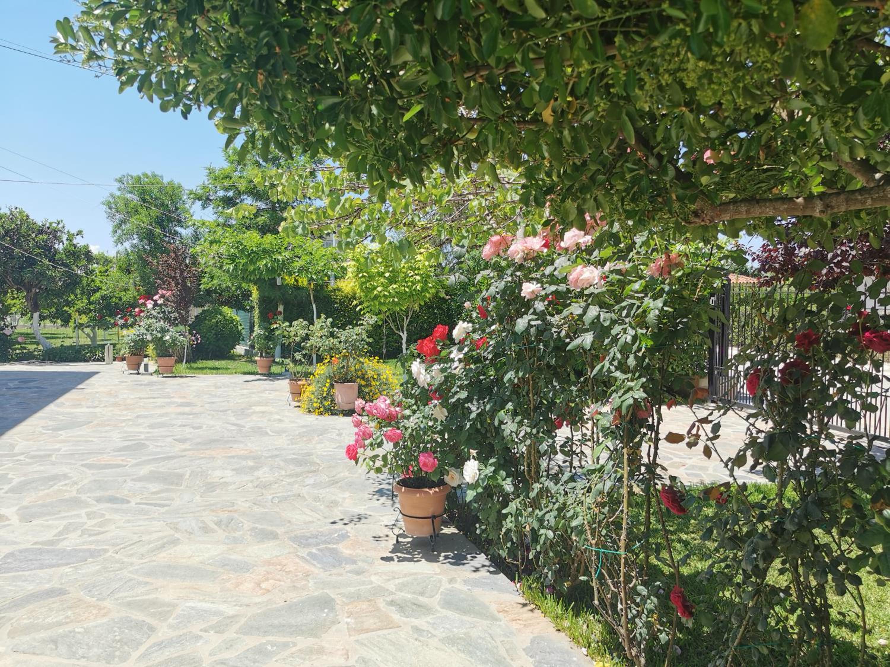 Apartment with Garden View photo 3
