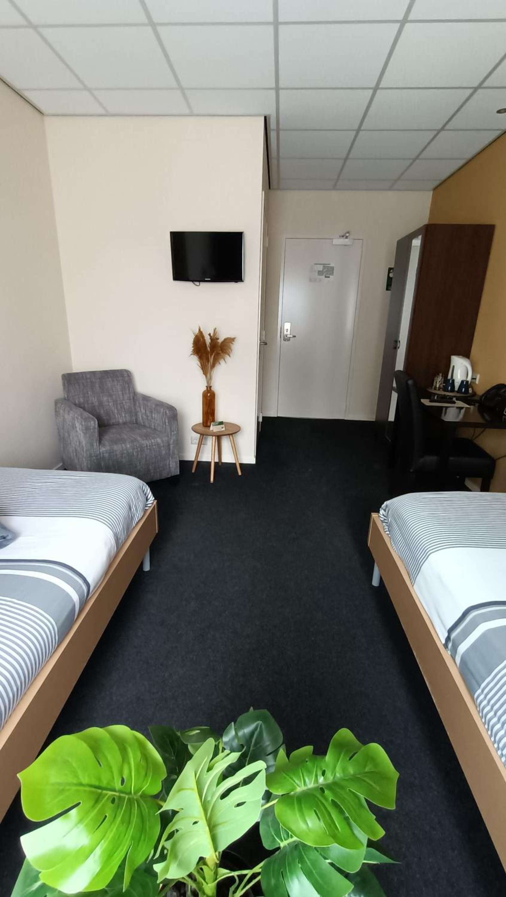 Double or Twin Room photo 3
