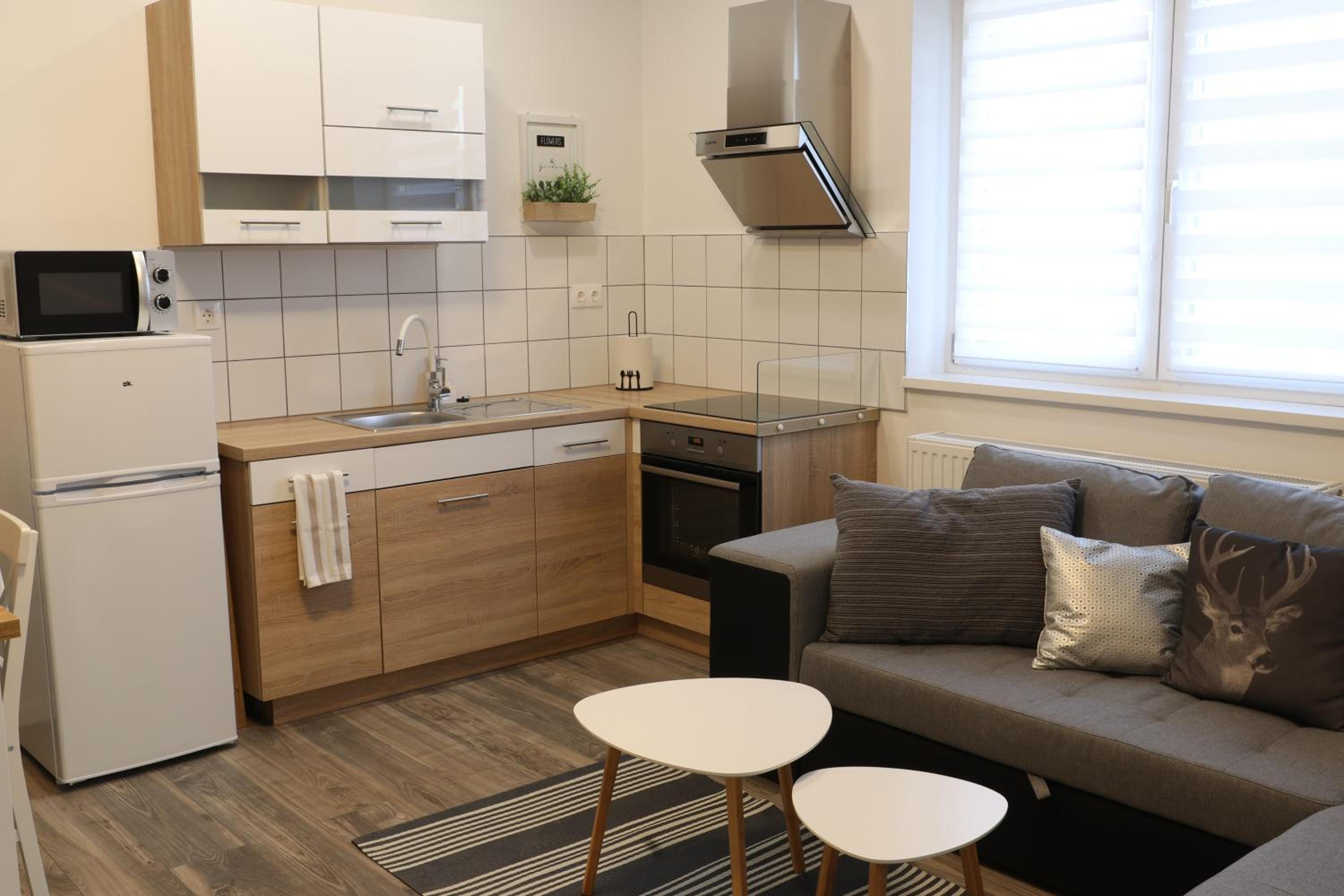 Three-Bedroom Apartment - Photo 10