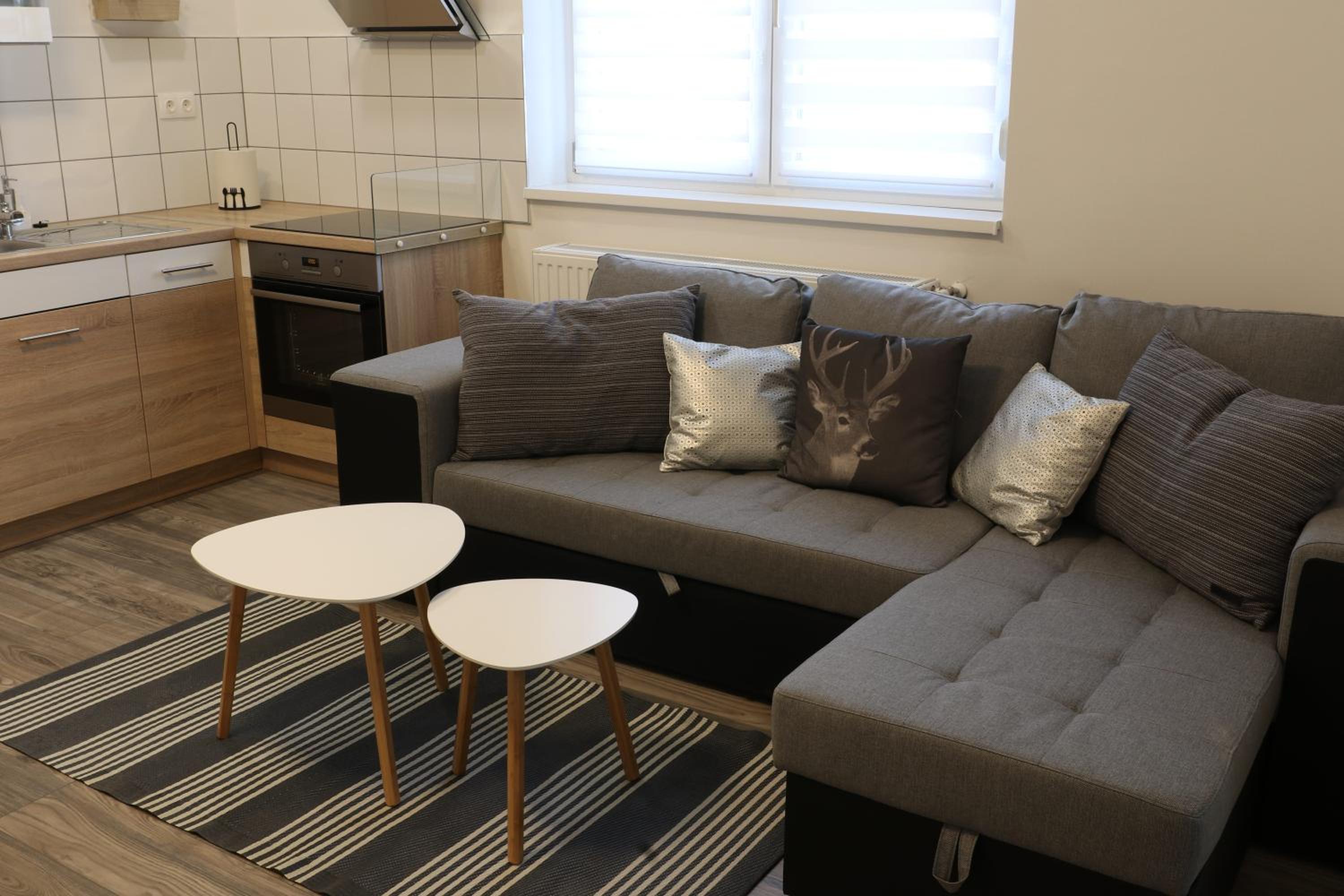 Three-Bedroom Apartment - Photo 9