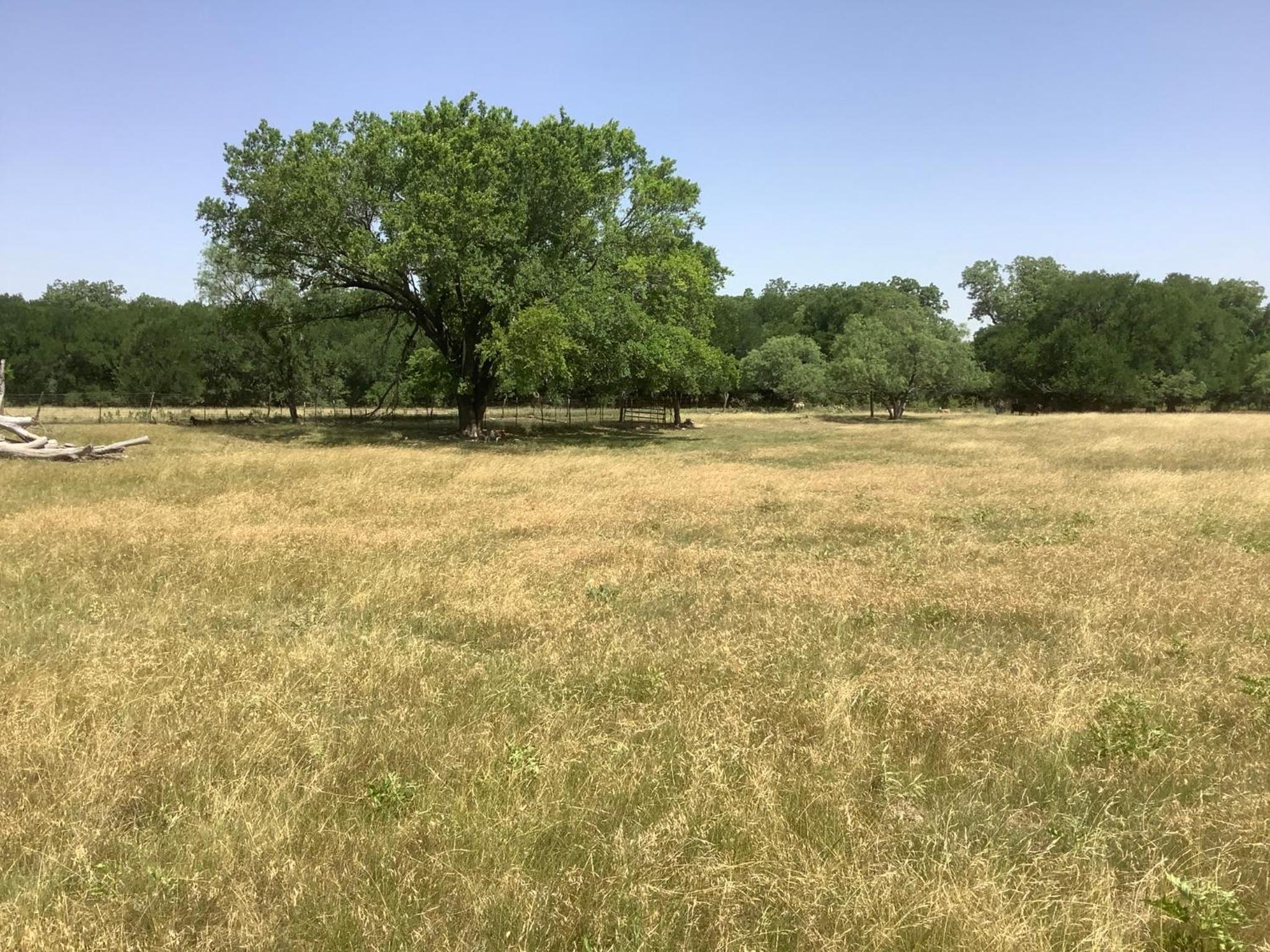 Empty Lot - Photo 12