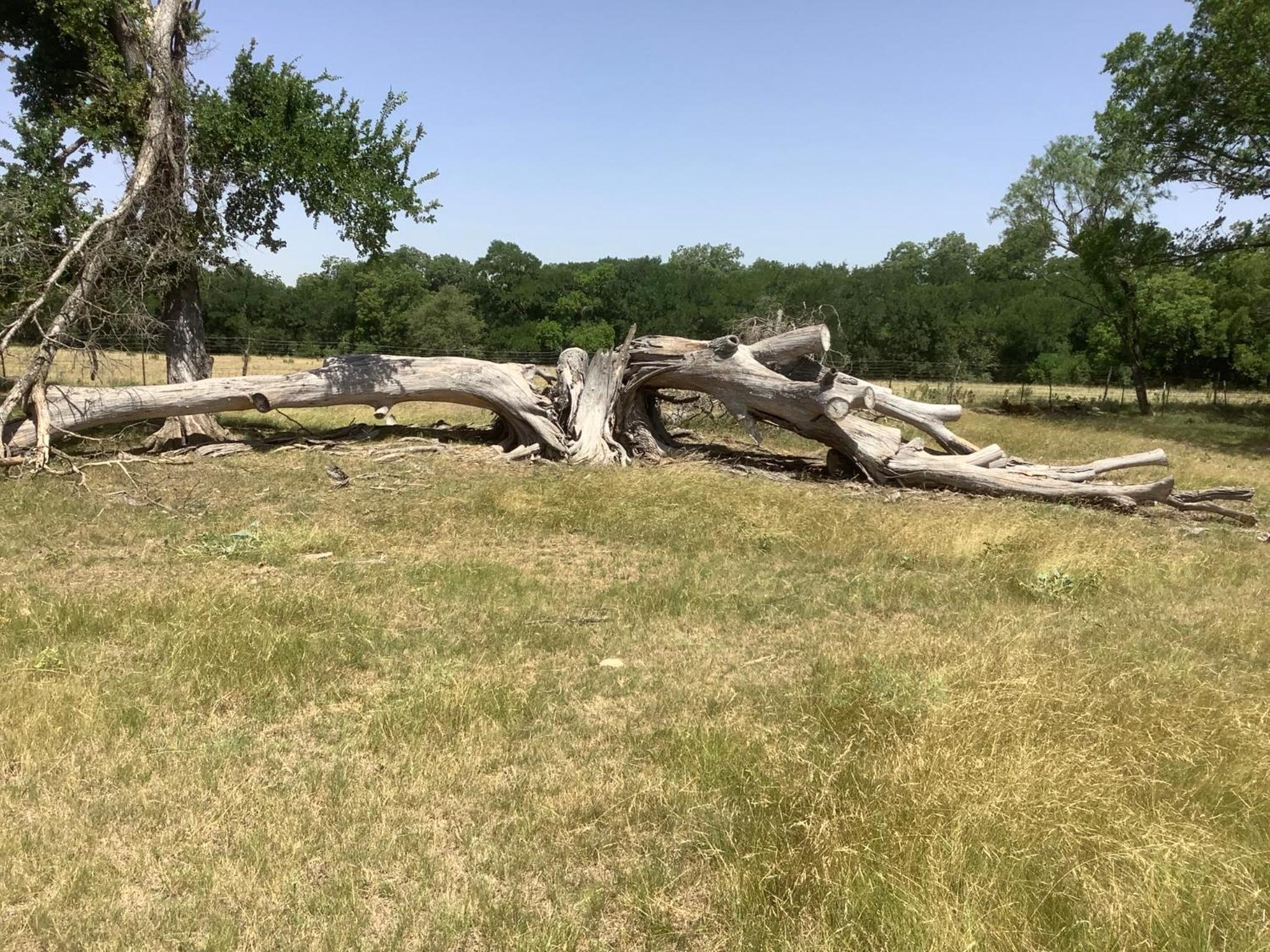 Empty Lot - Photo 13