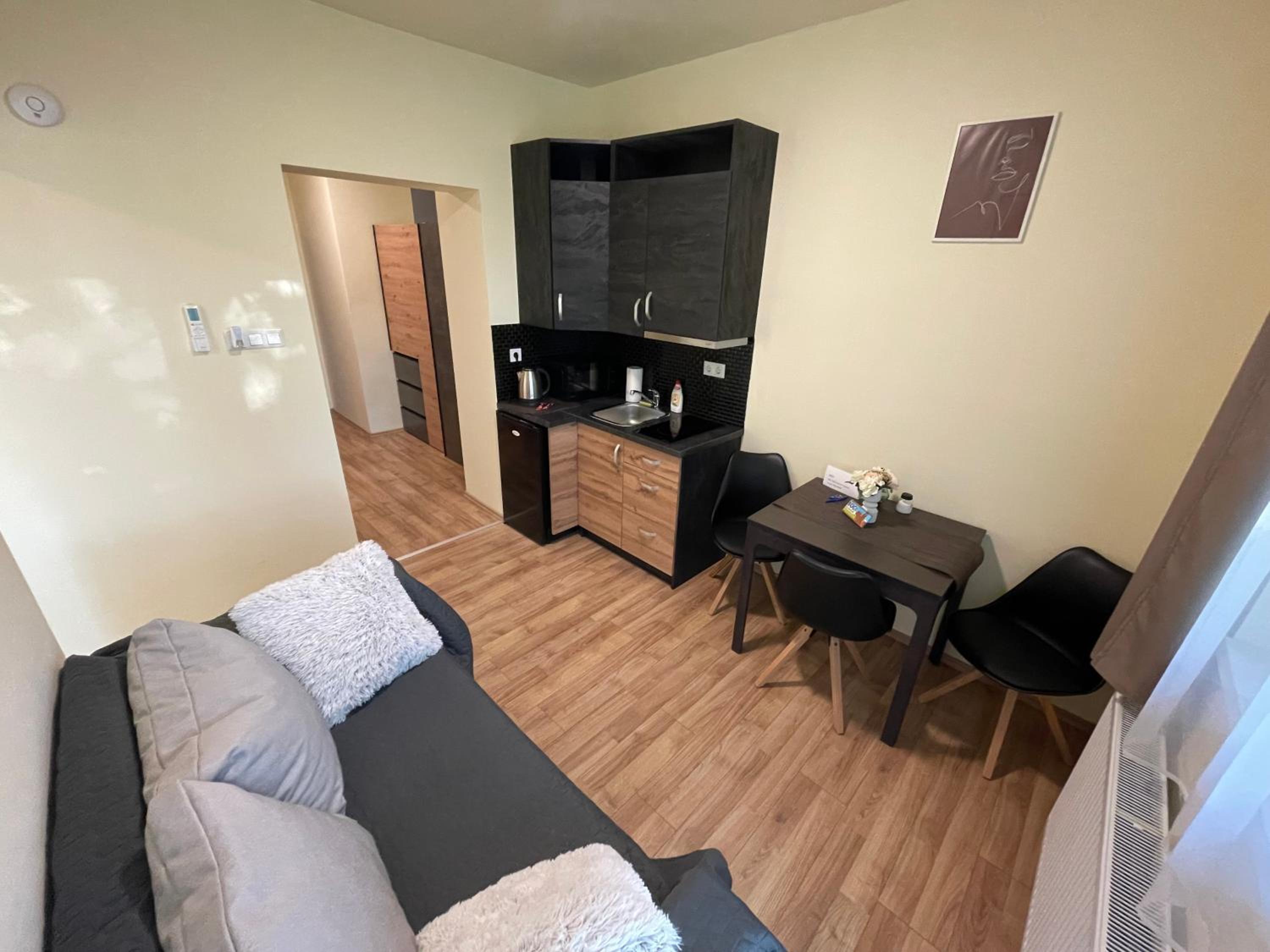 Superior Apartment photo 2