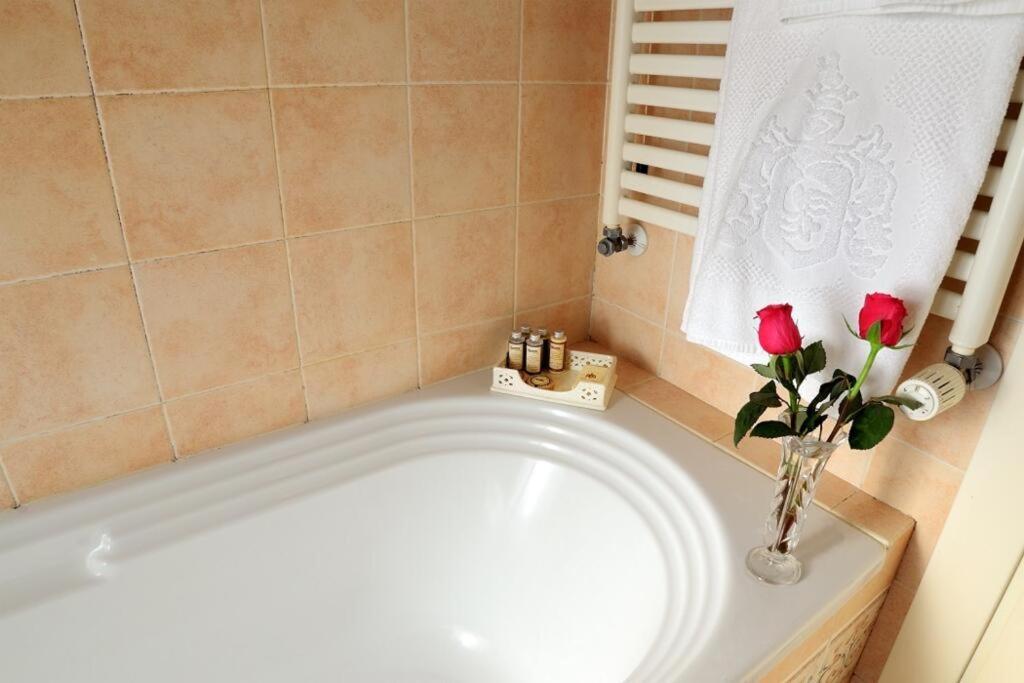 Executive Room - Photo 19