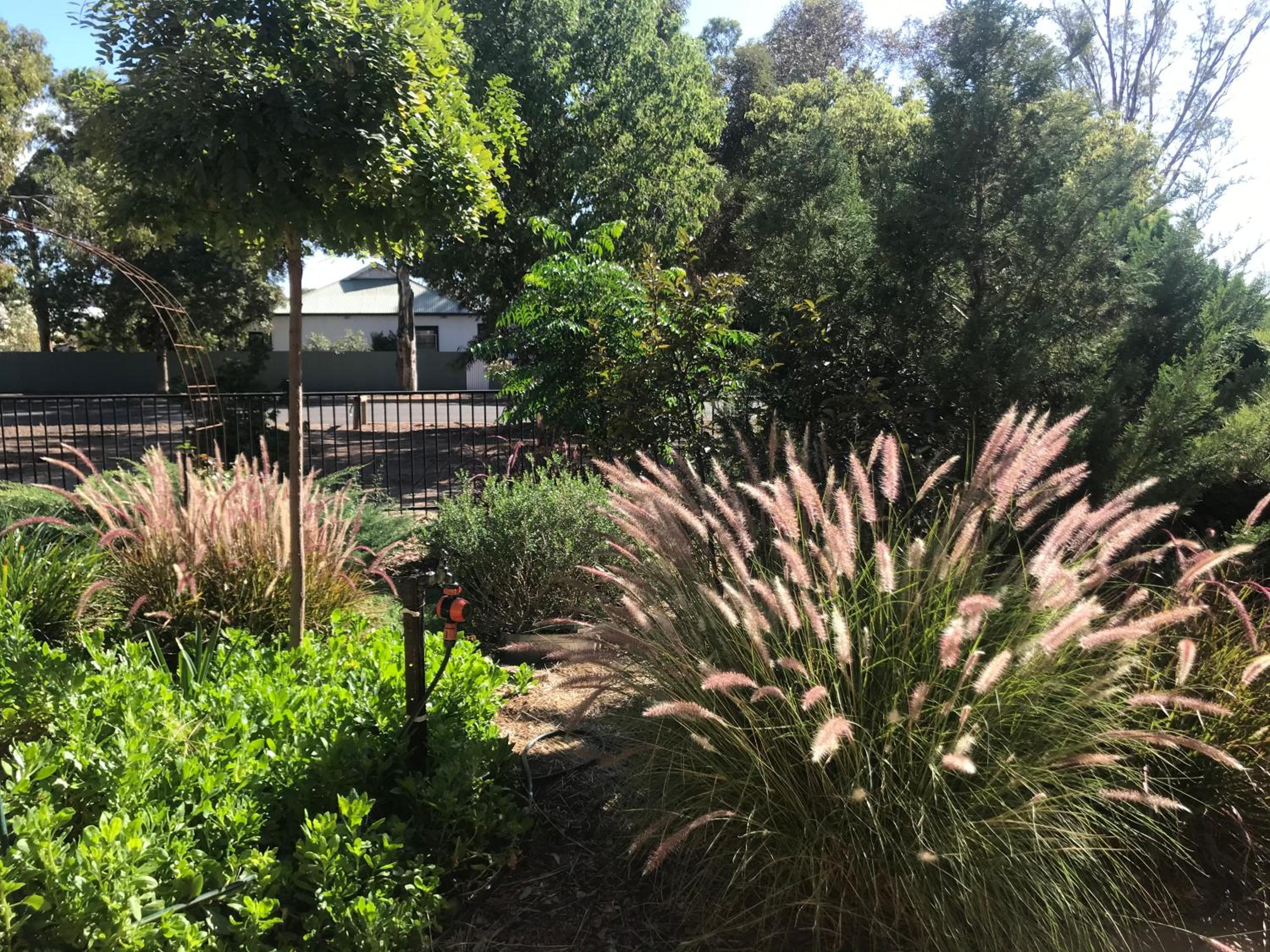 Double Room with Garden View photo 3