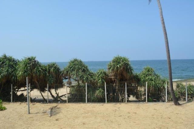 Two-Bedroom Apartment - Oceanfront  photo 1
