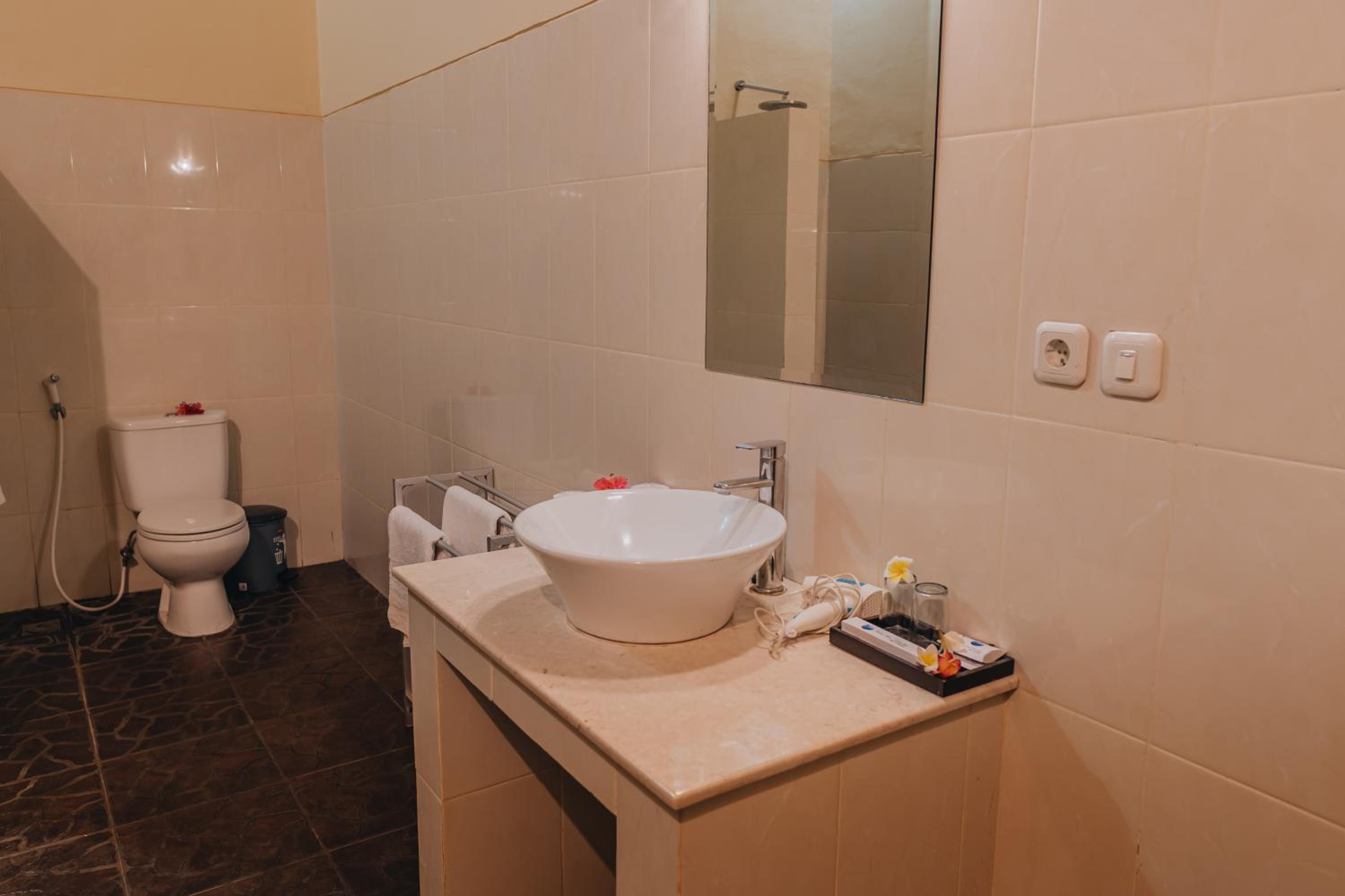 Deluxe Double or Twin Room - Photo 3