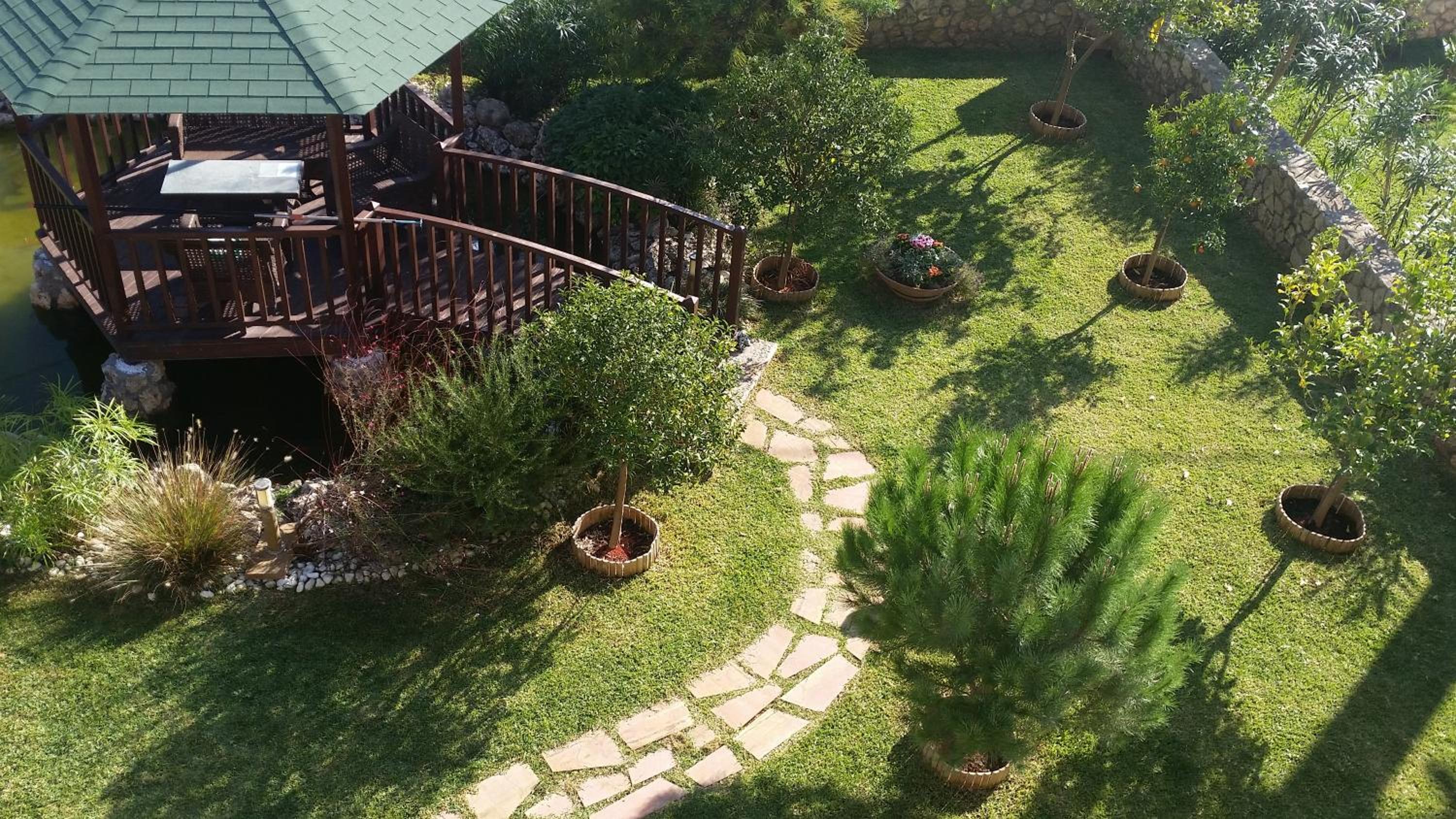 Deluxe Villa photo 3