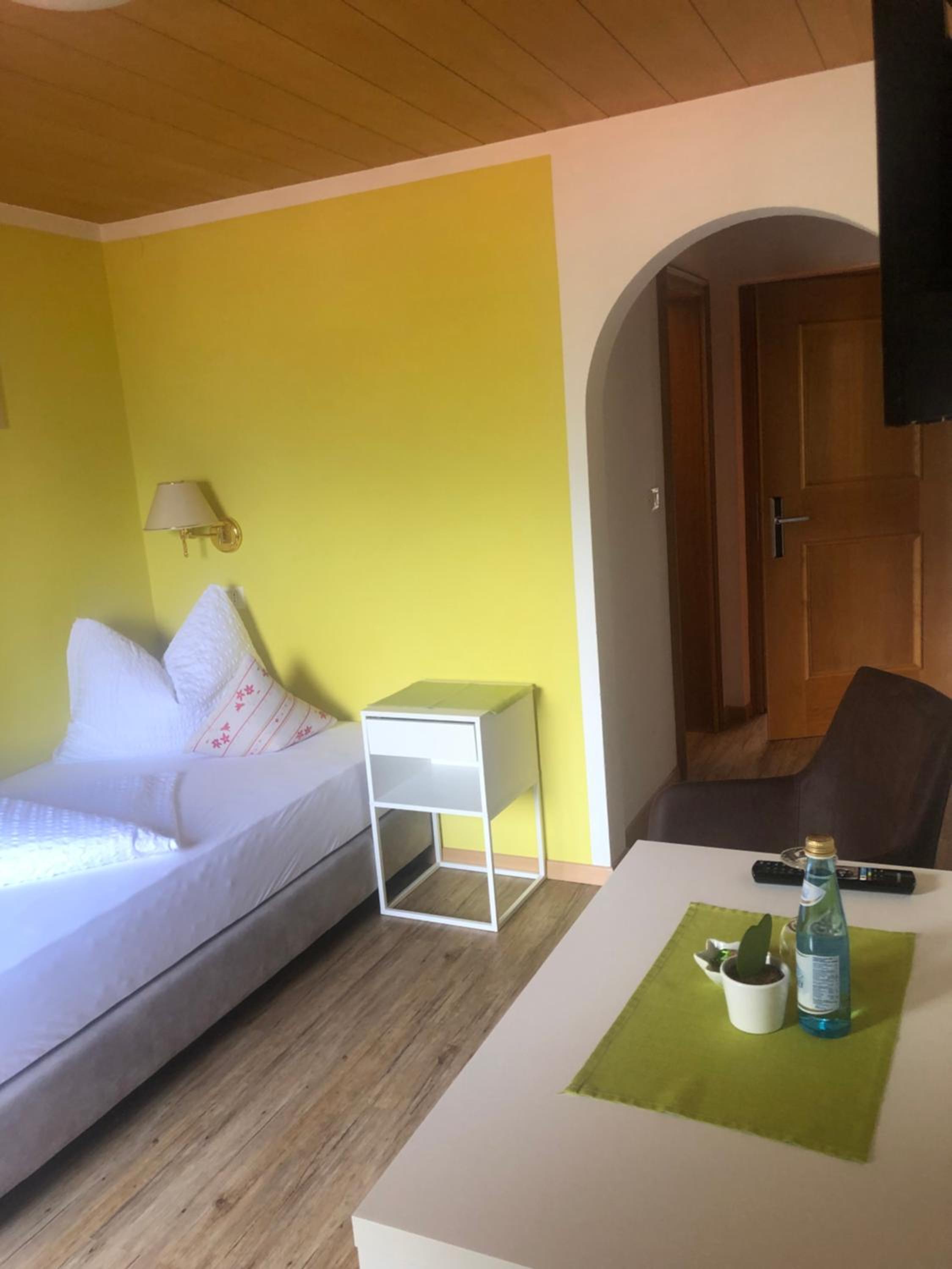 Single Room with Mountain View