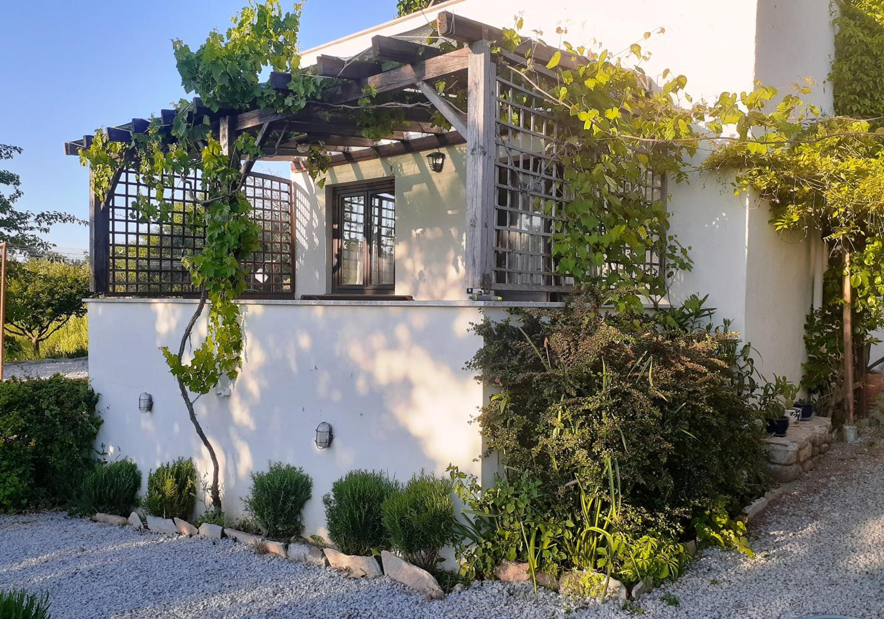 Studio with Terrace photo 3
