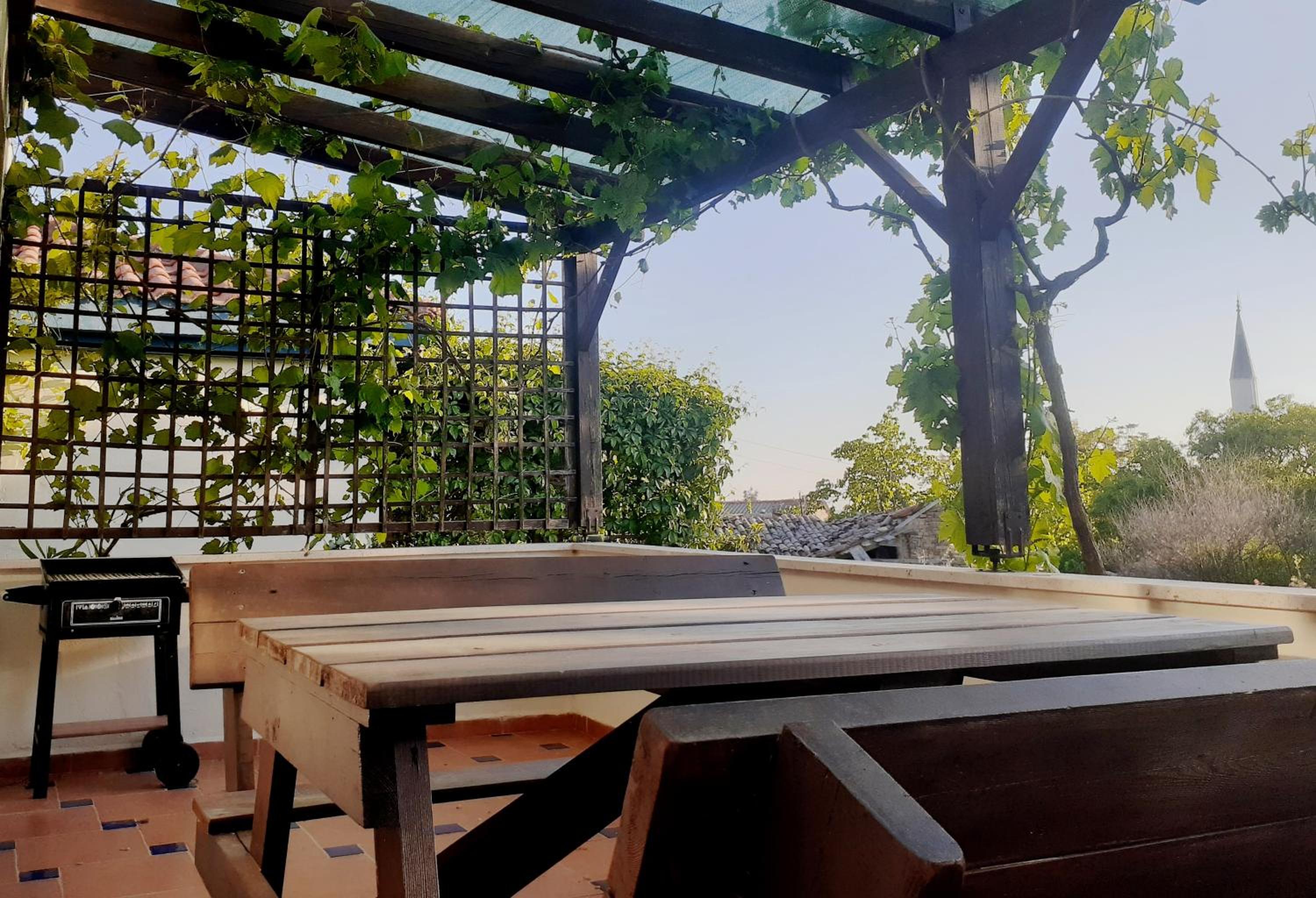 Studio with Terrace photo 2
